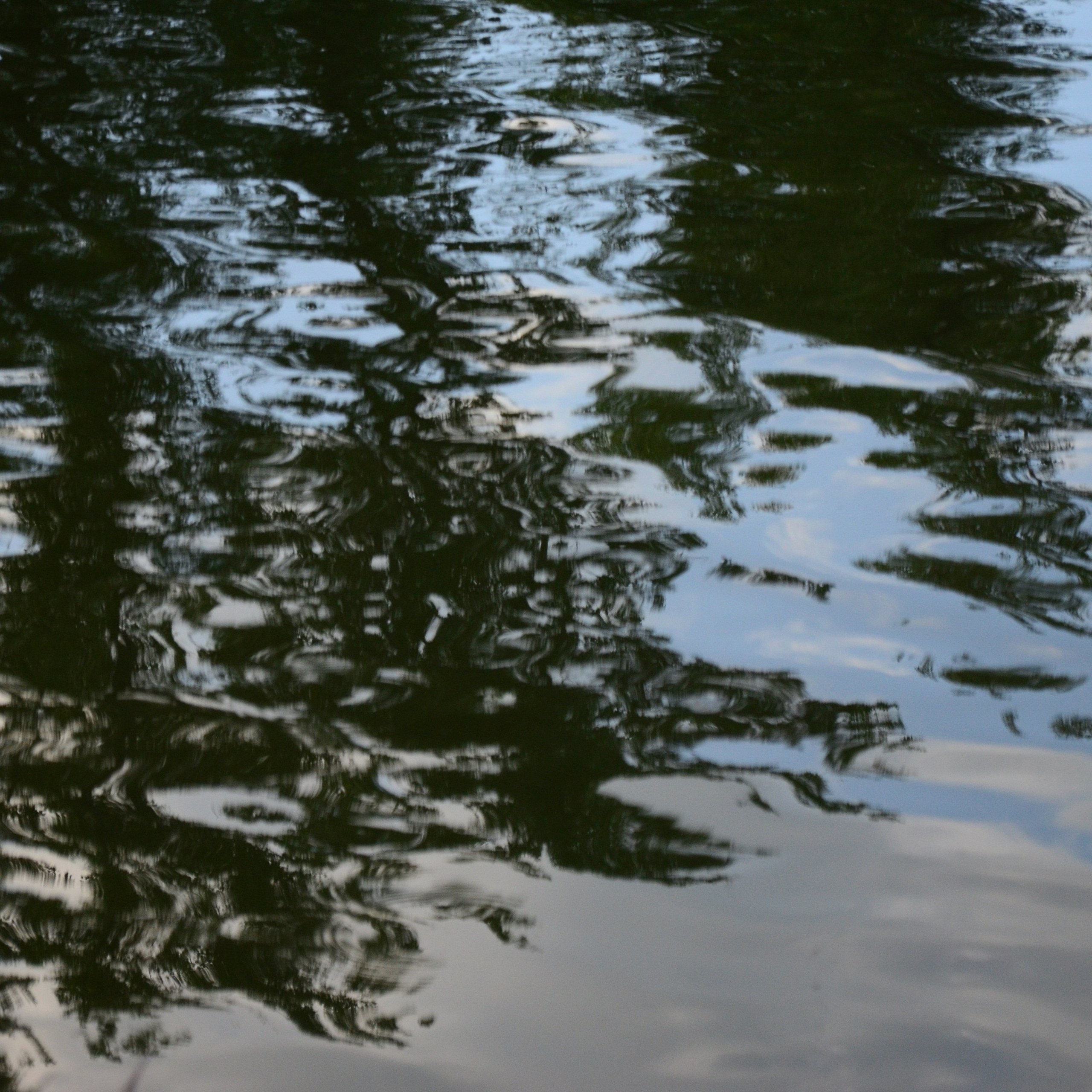 Фотограф viktor viktor