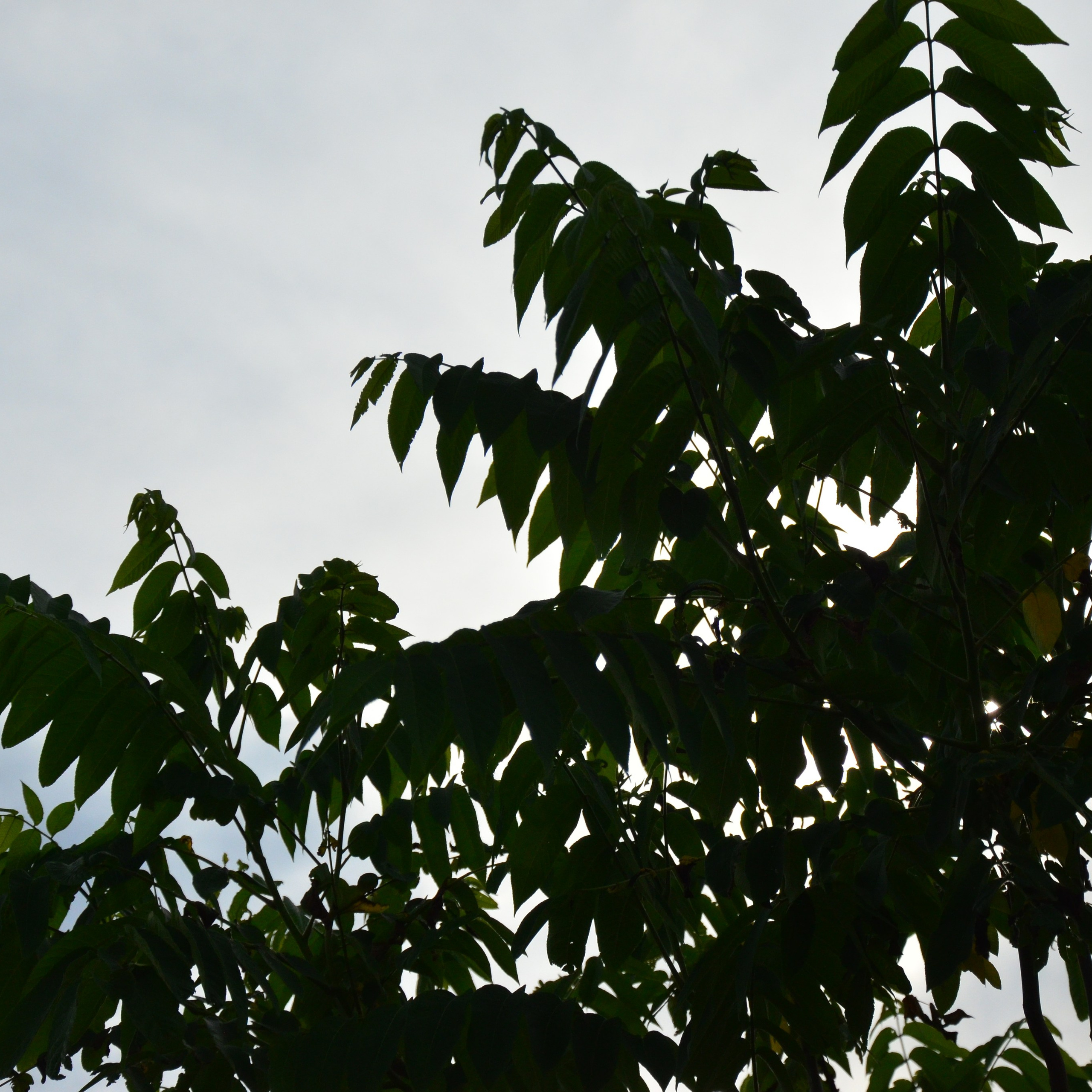 Фотограф viktor viktor