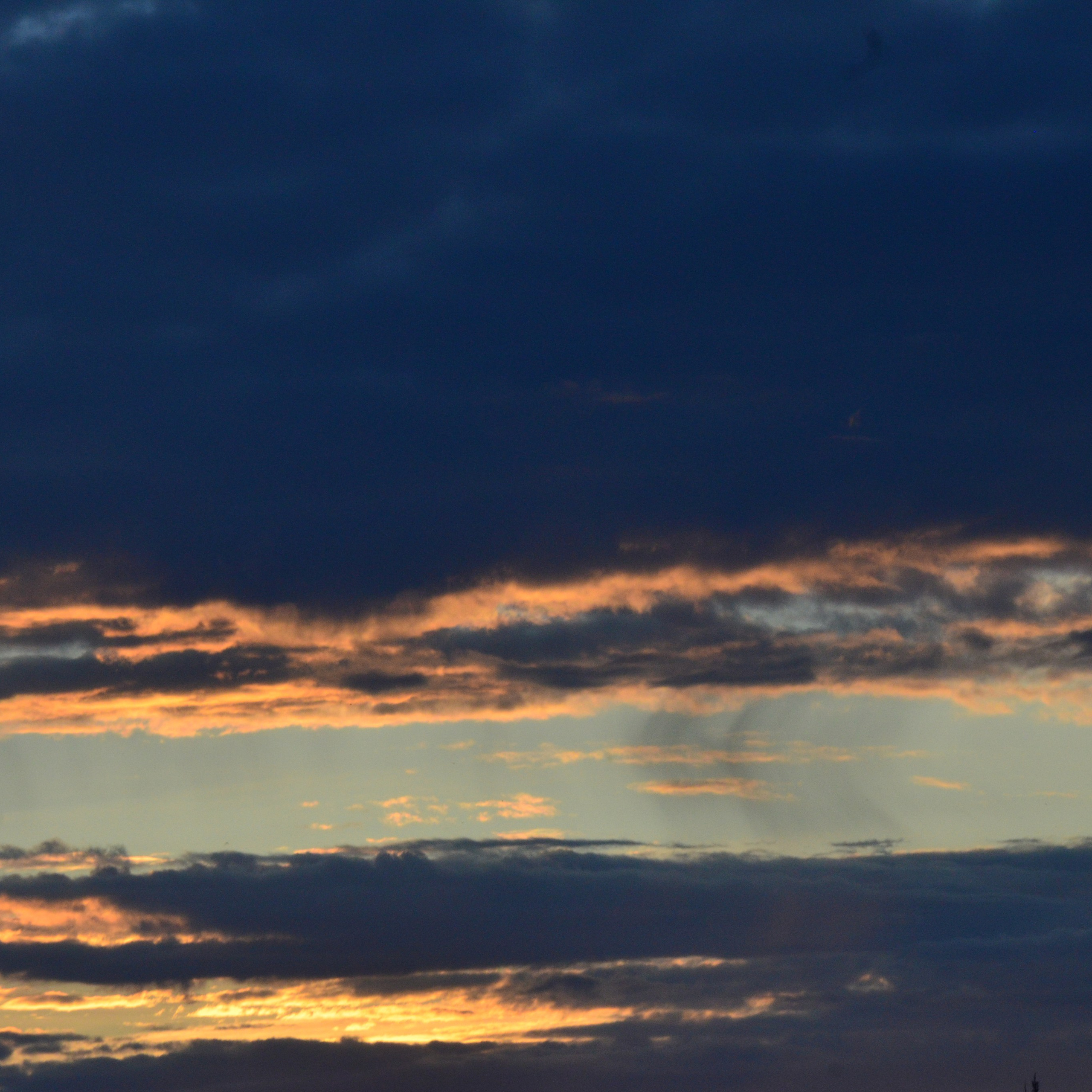 Фотограф viktor viktor