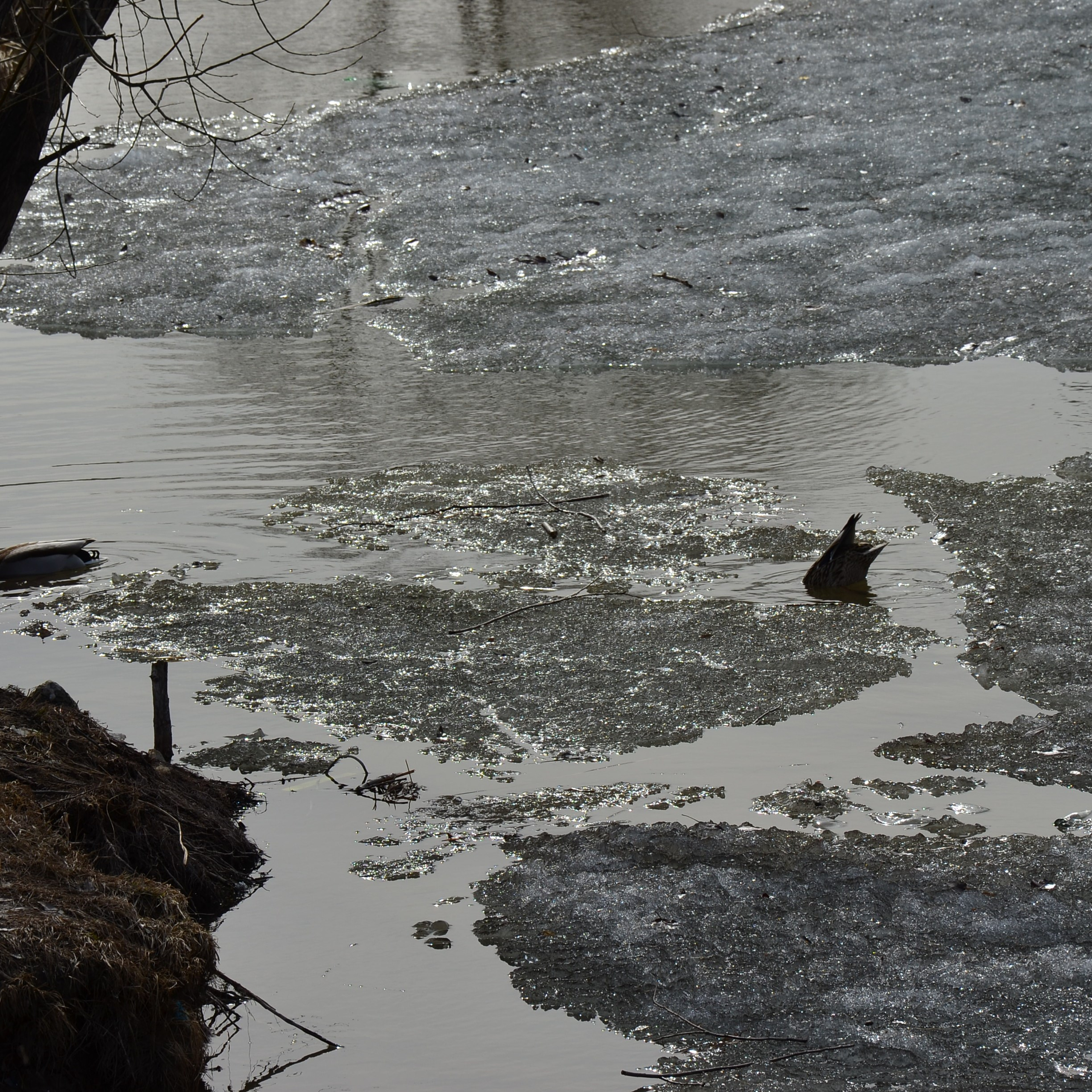 Фотограф viktor viktor