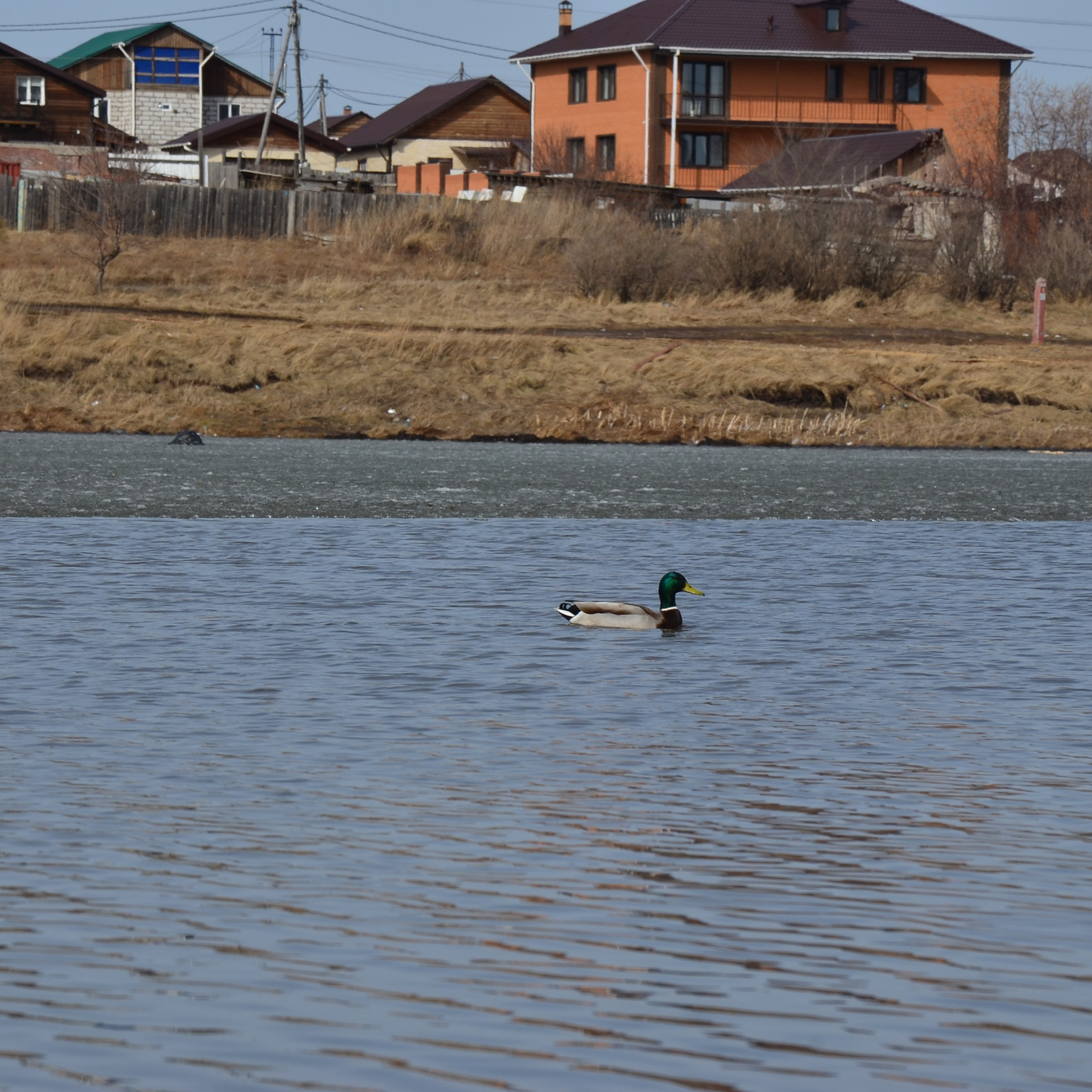 Фотограф viktor viktor