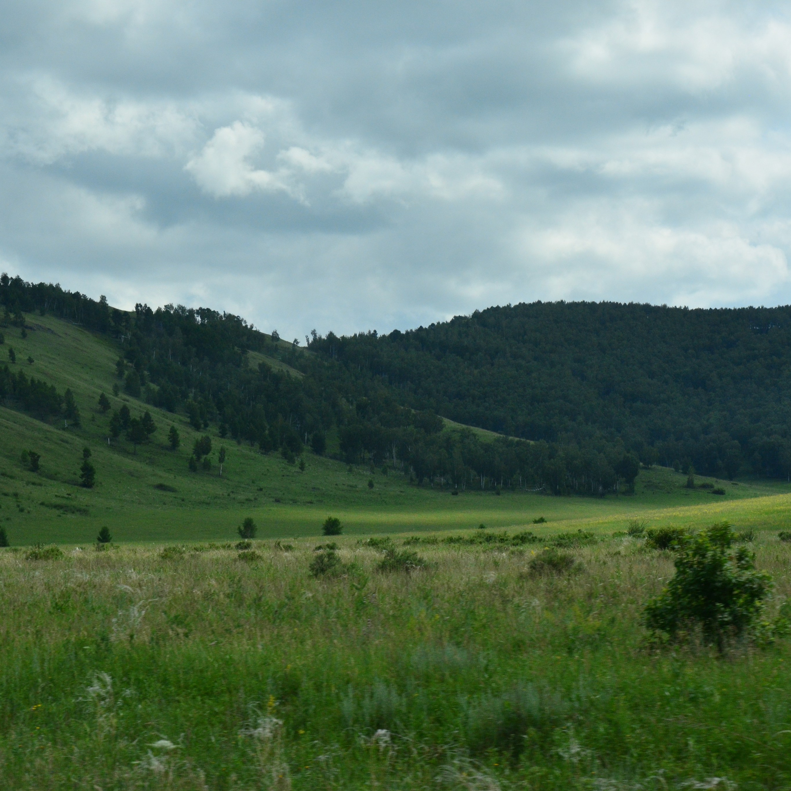 Фотограф viktor viktor