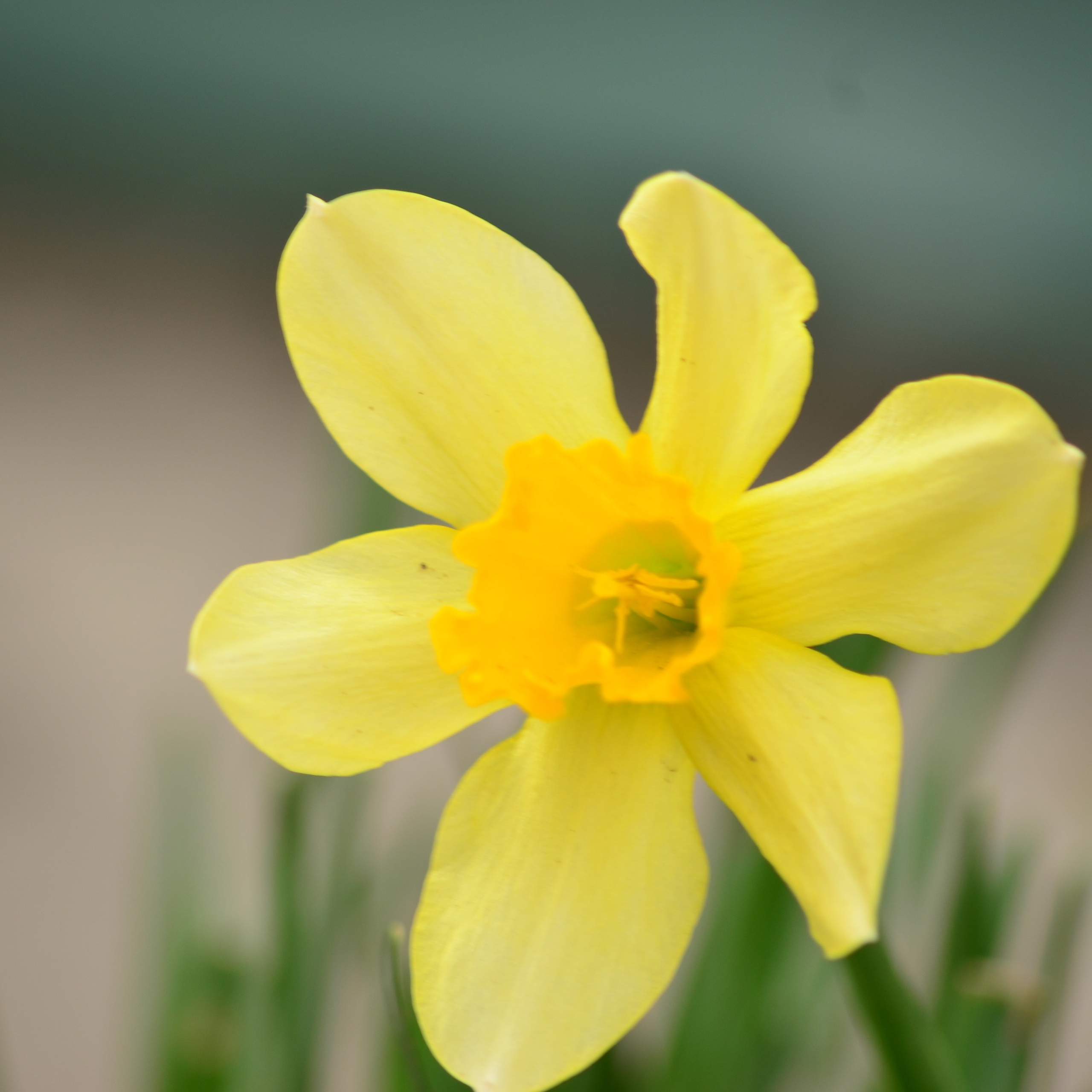 Фотограф viktor viktor