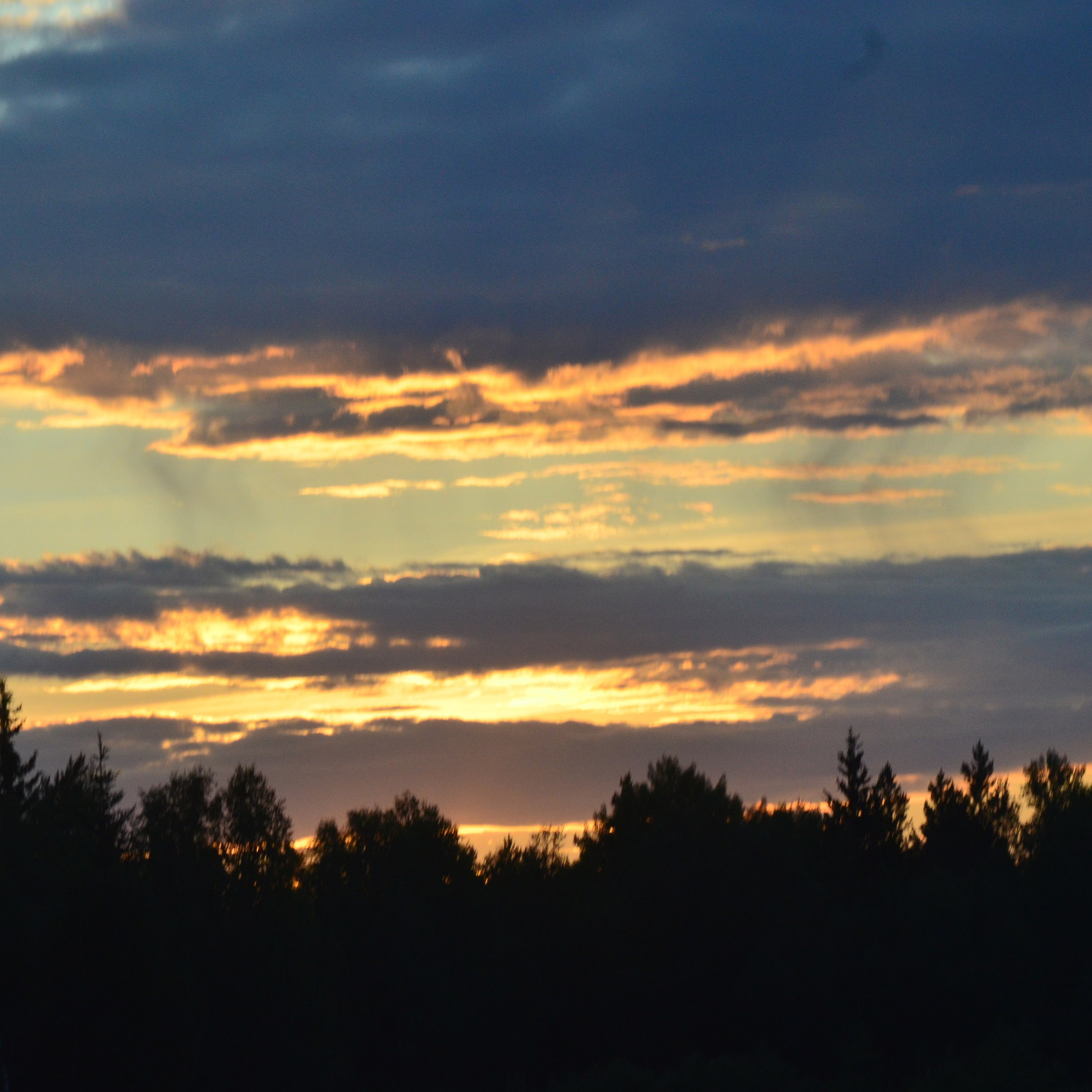 Фотограф viktor viktor