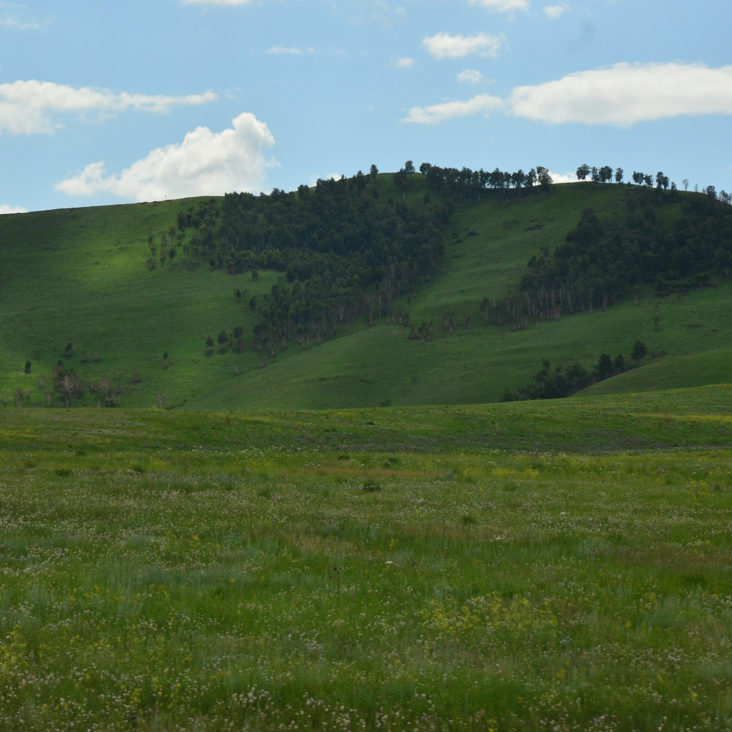 Фотограф viktor viktor