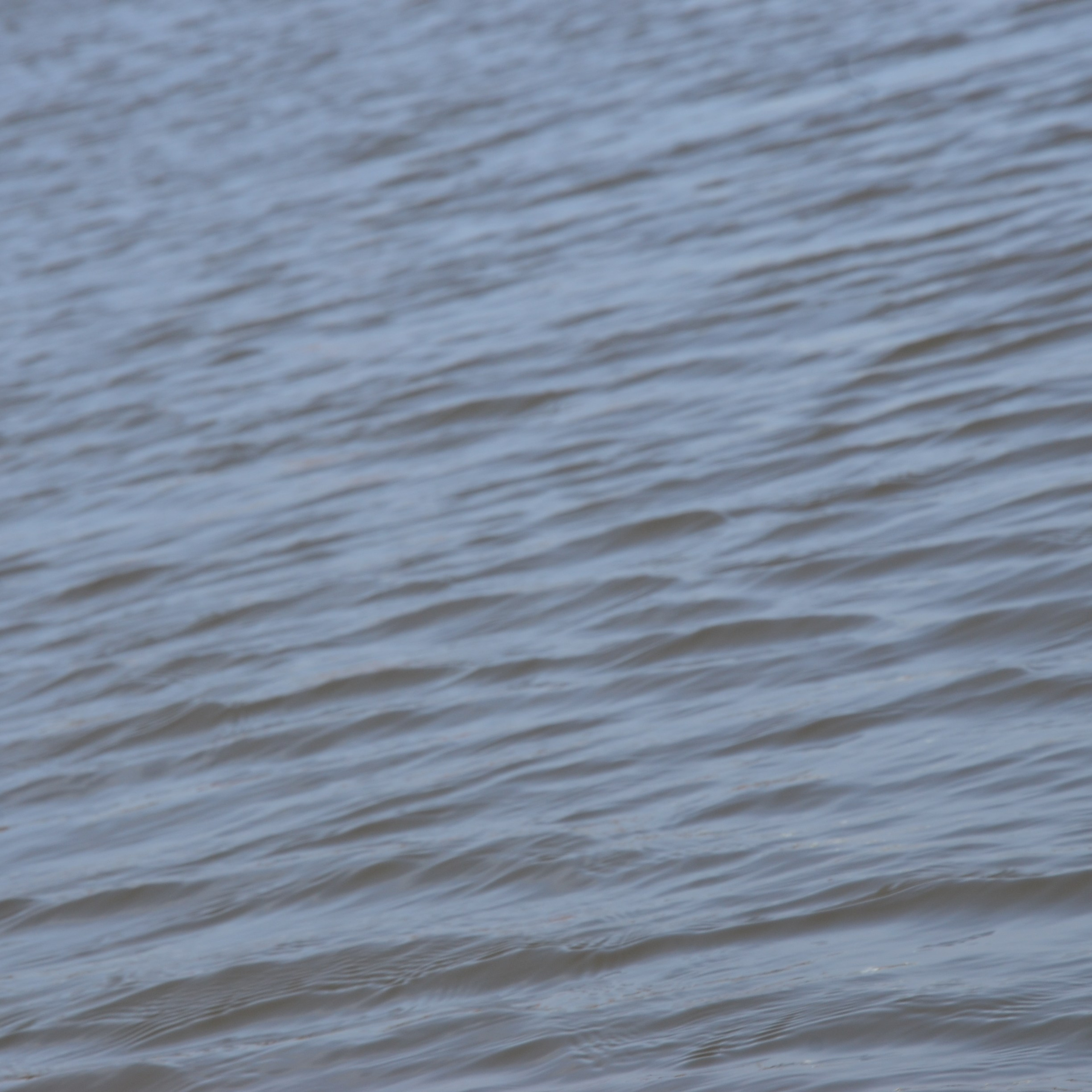 Фотограф viktor viktor