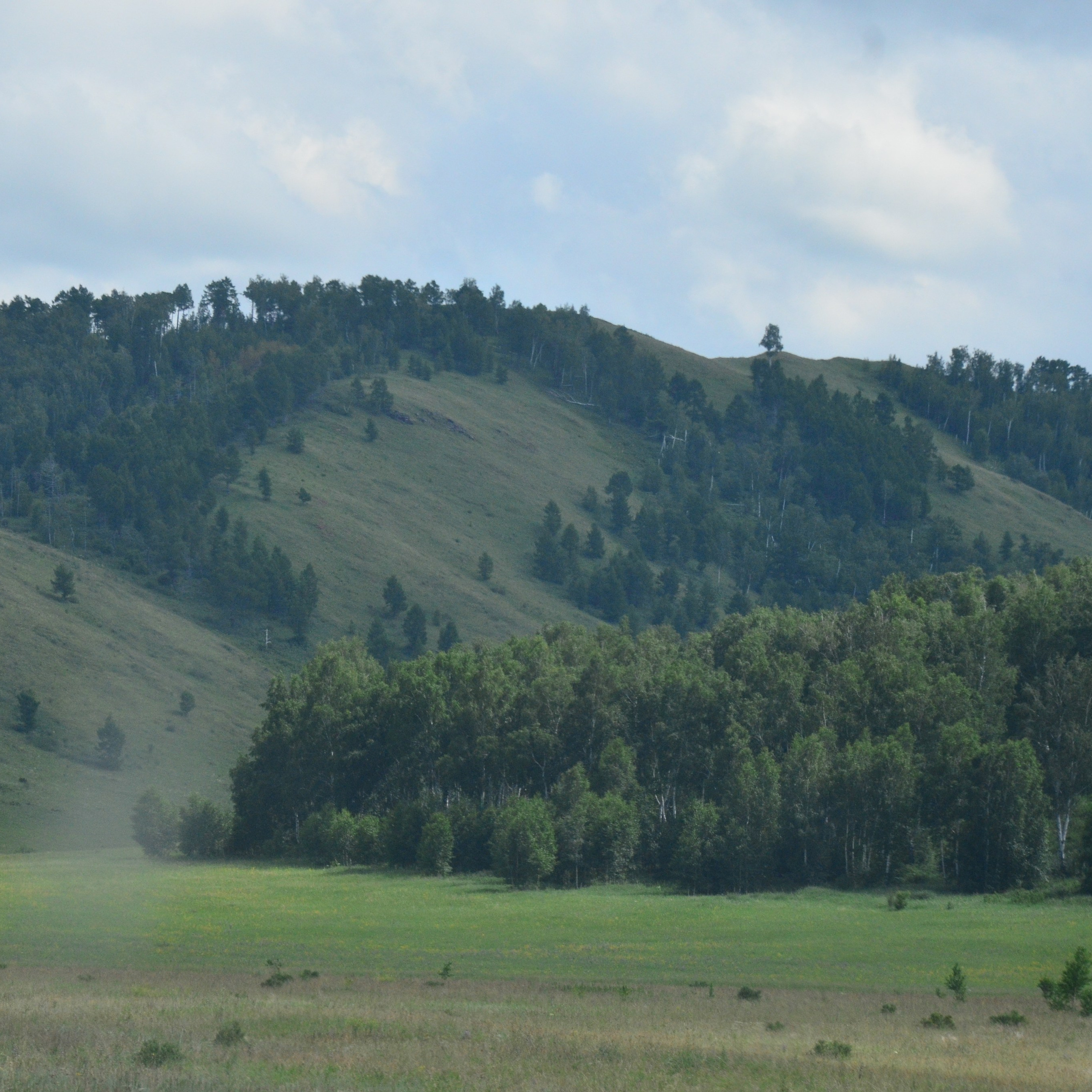 Фотограф viktor viktor