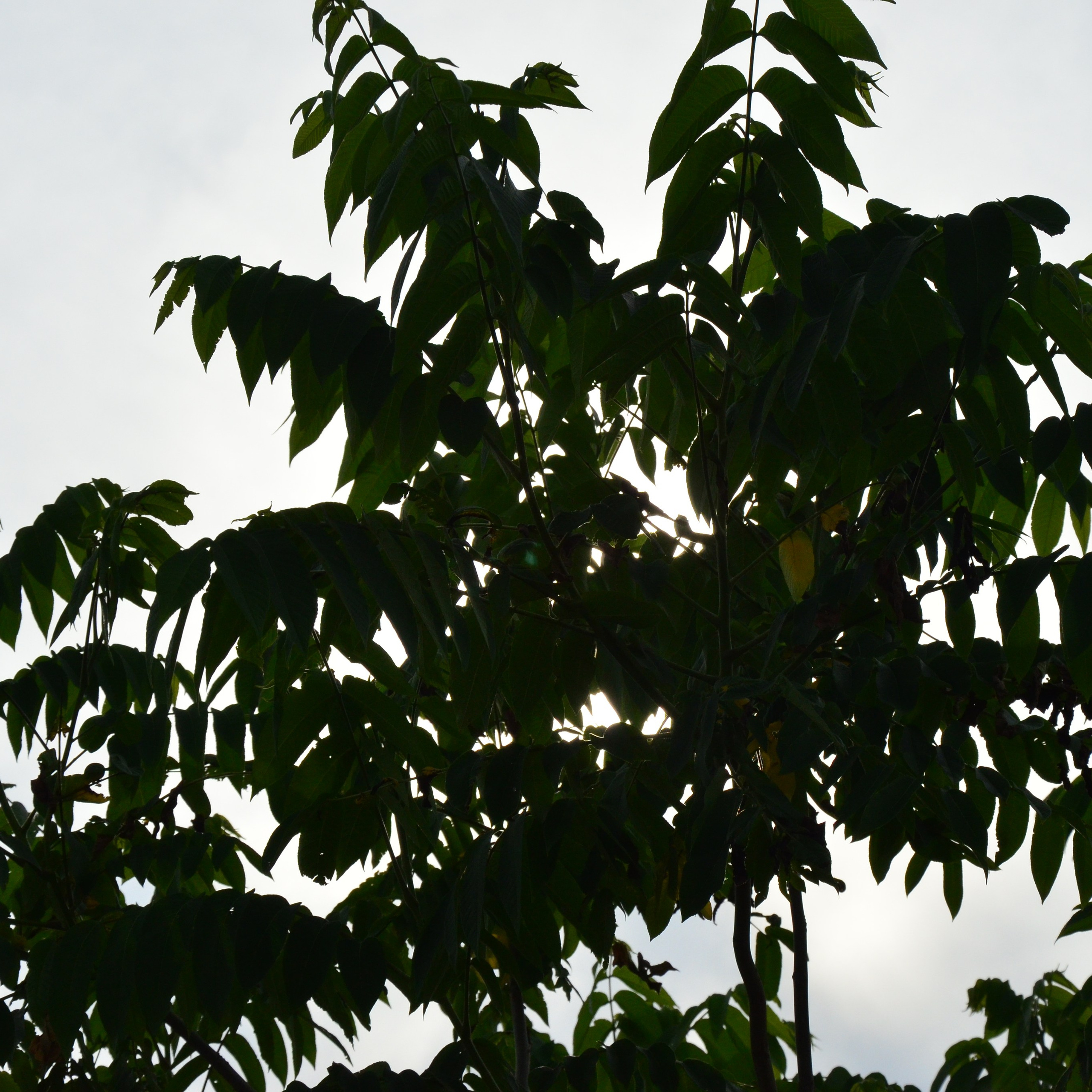 Фотограф viktor viktor