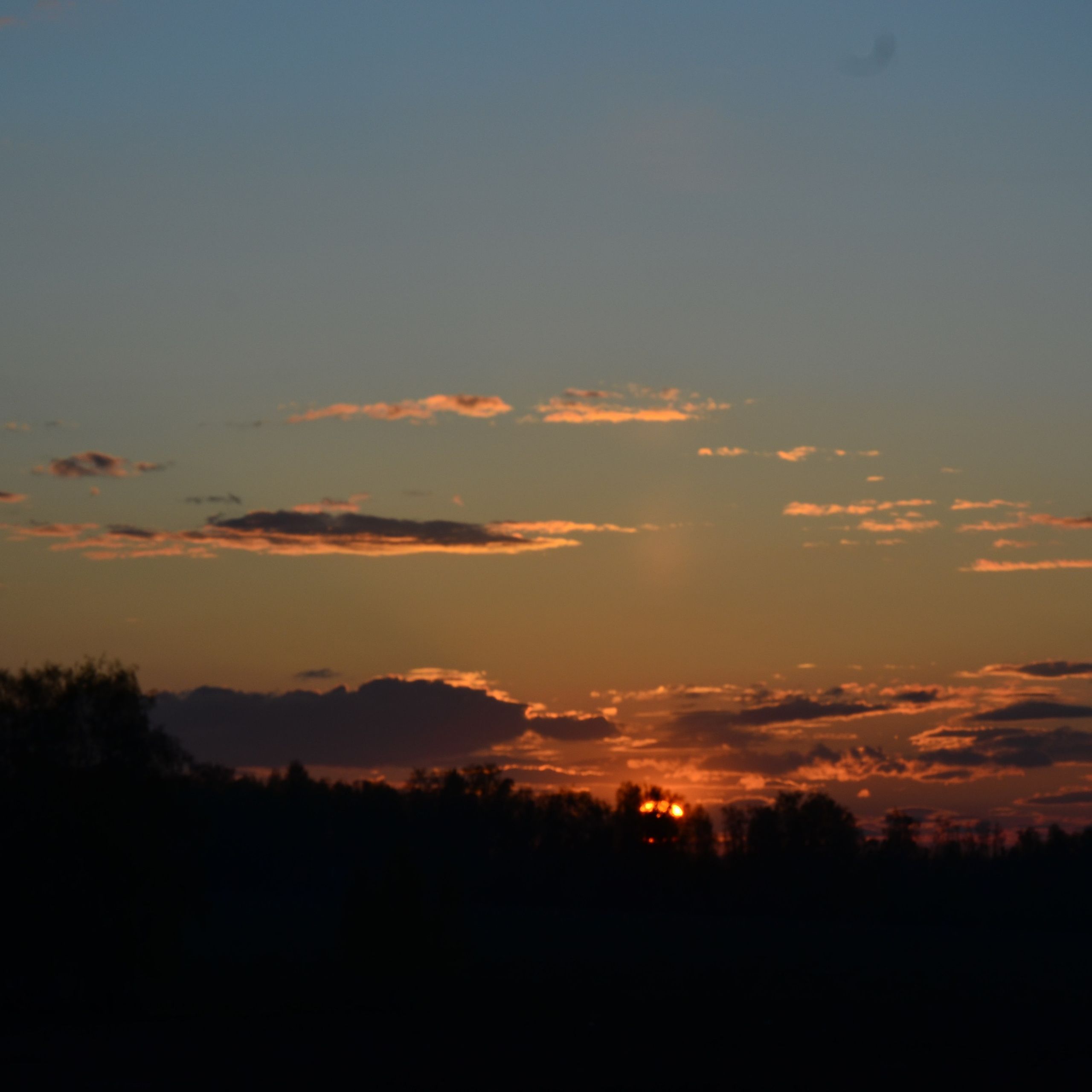 Фотограф viktor viktor