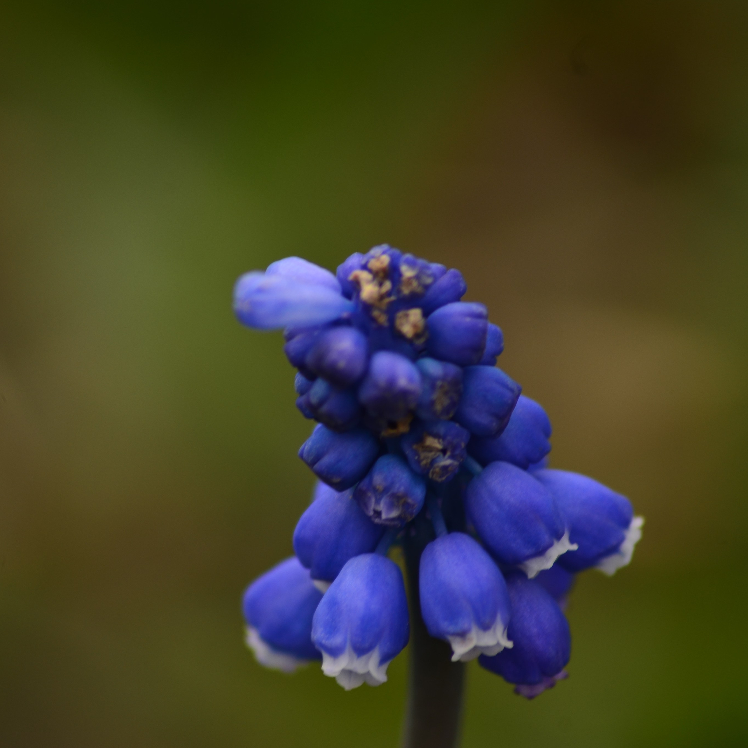 Фотограф viktor viktor