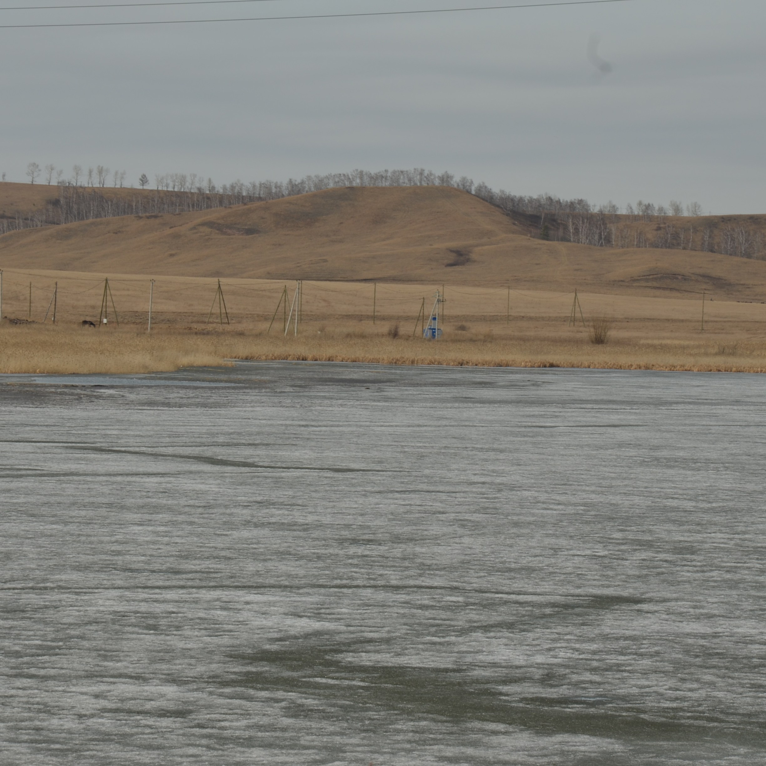 Фотограф viktor viktor