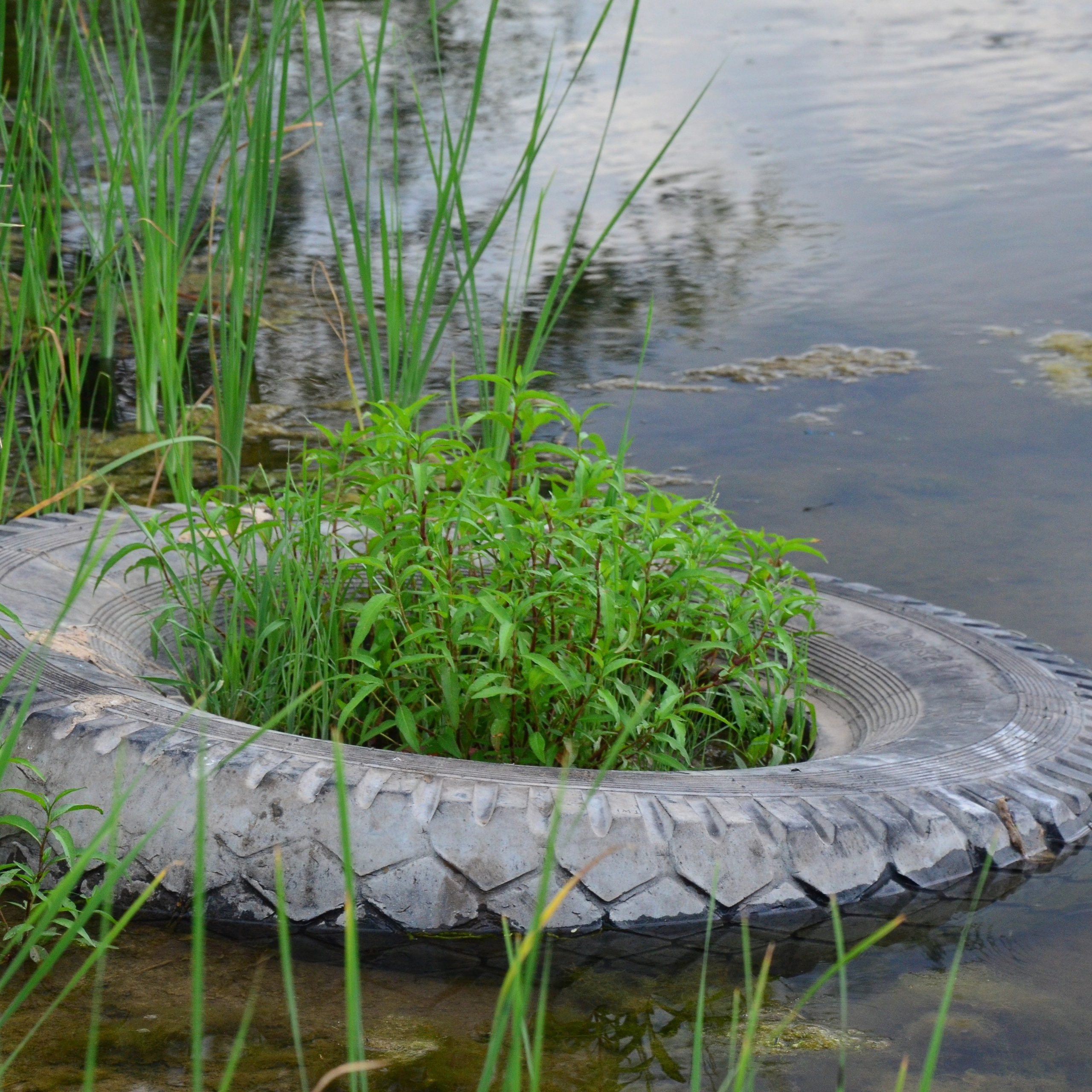 Фотограф viktor viktor
