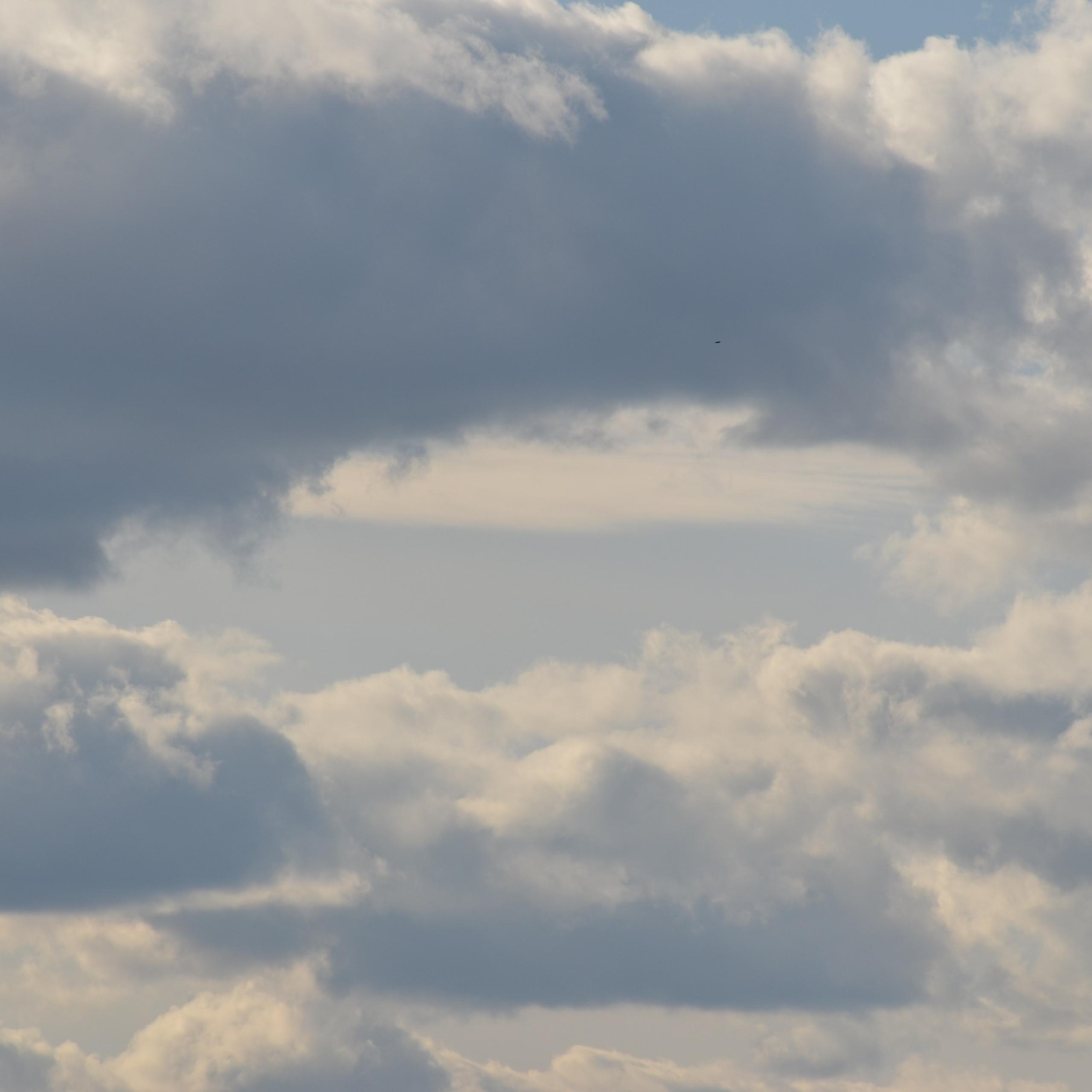 Фотограф viktor viktor