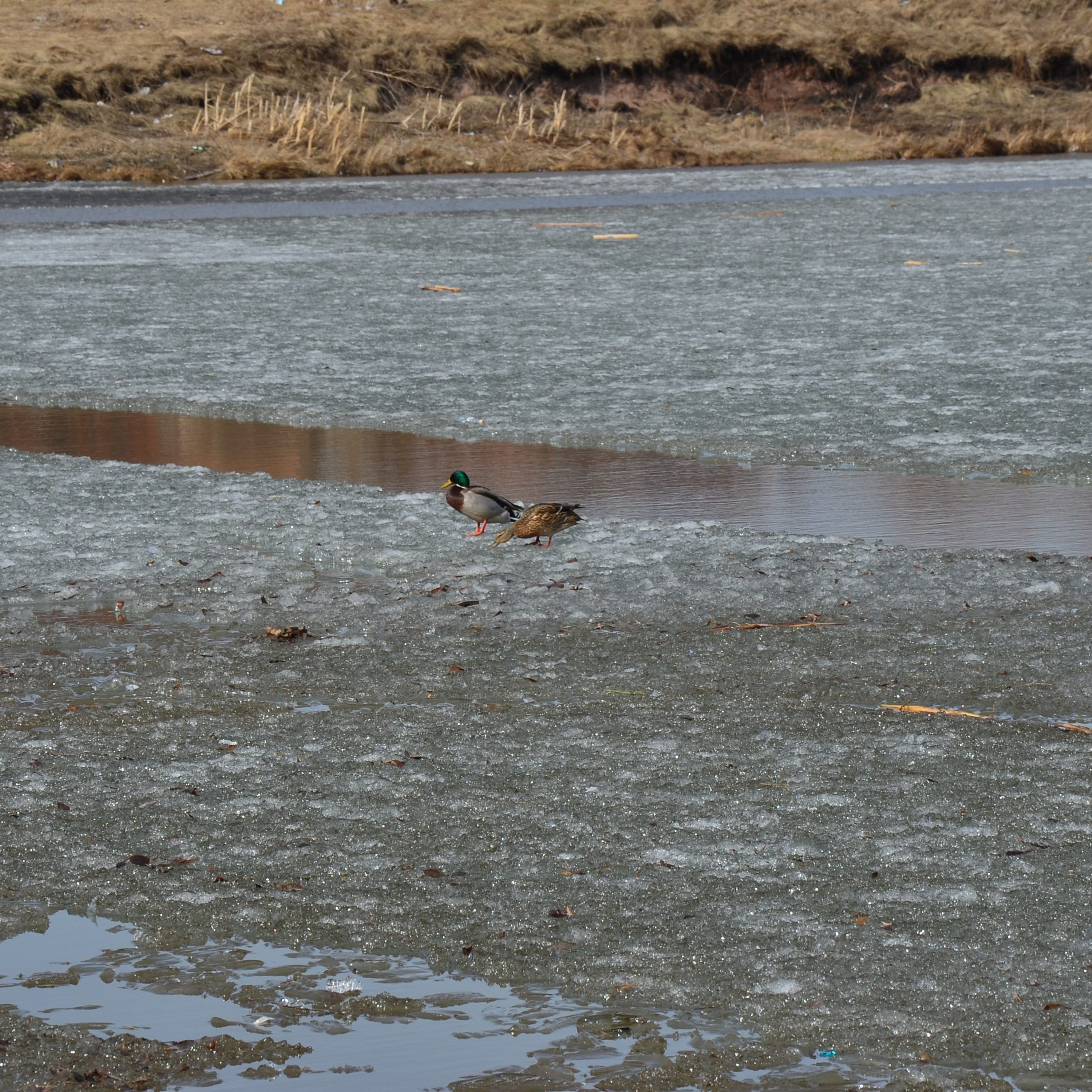 Фотограф viktor viktor