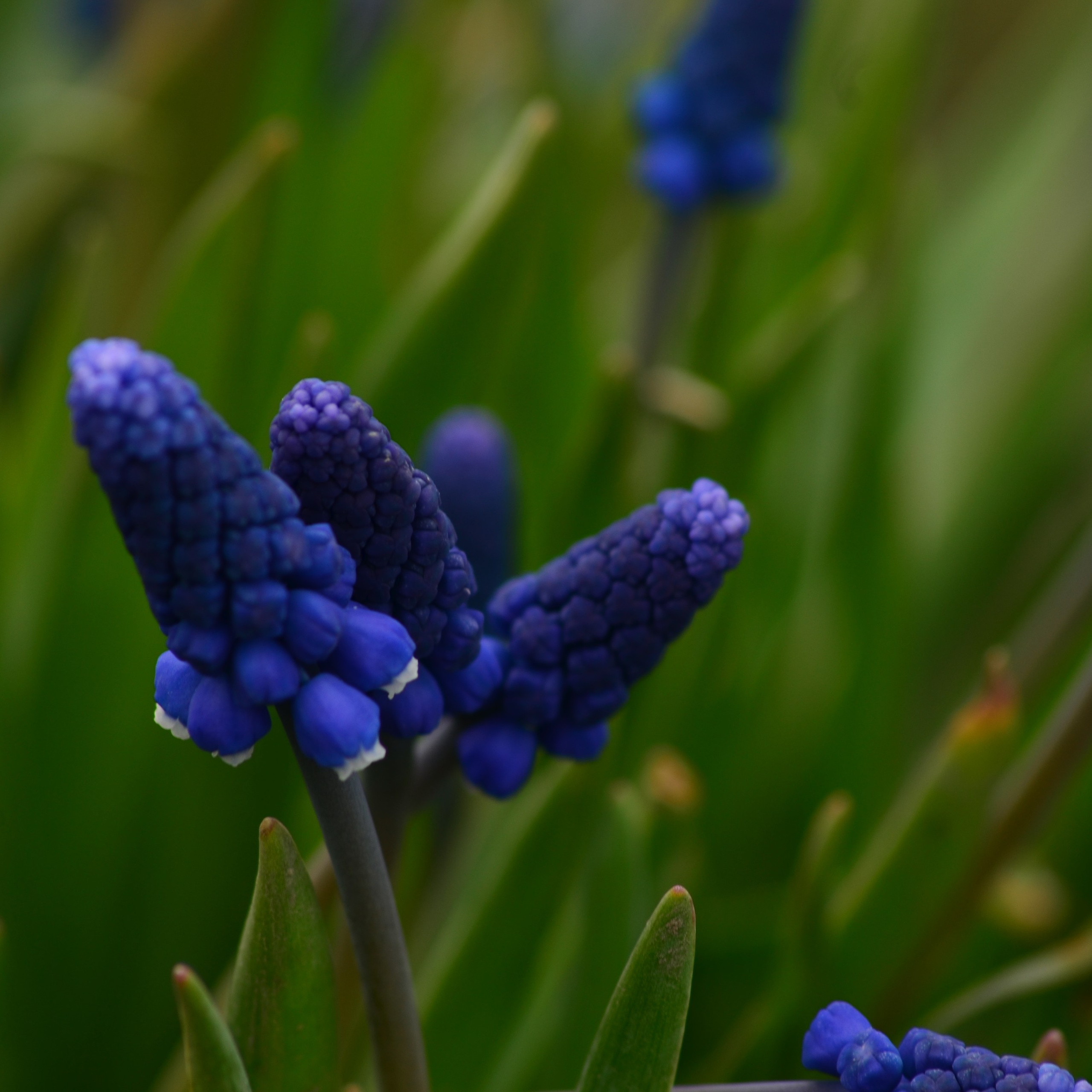 Фотограф viktor viktor