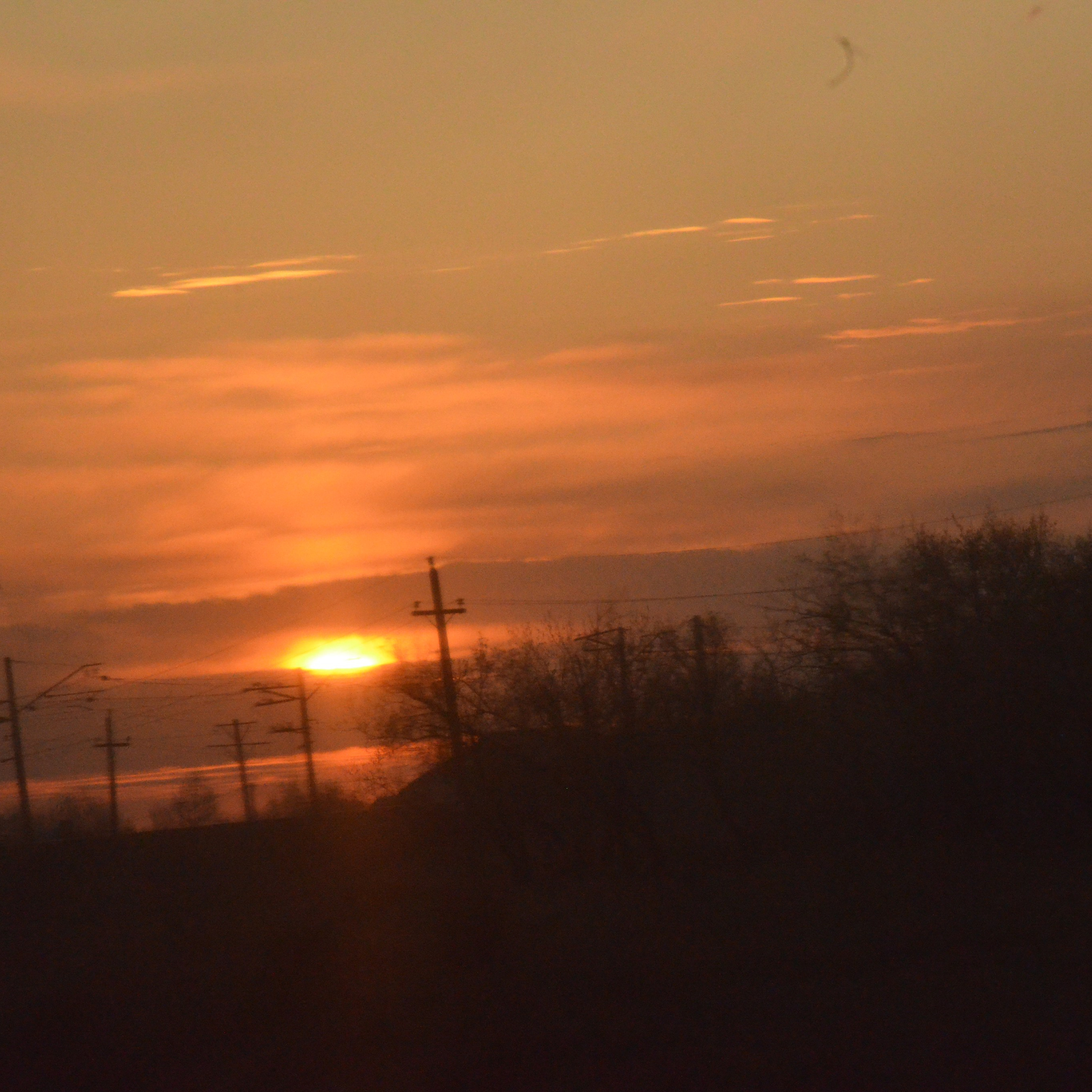 Фотограф viktor viktor