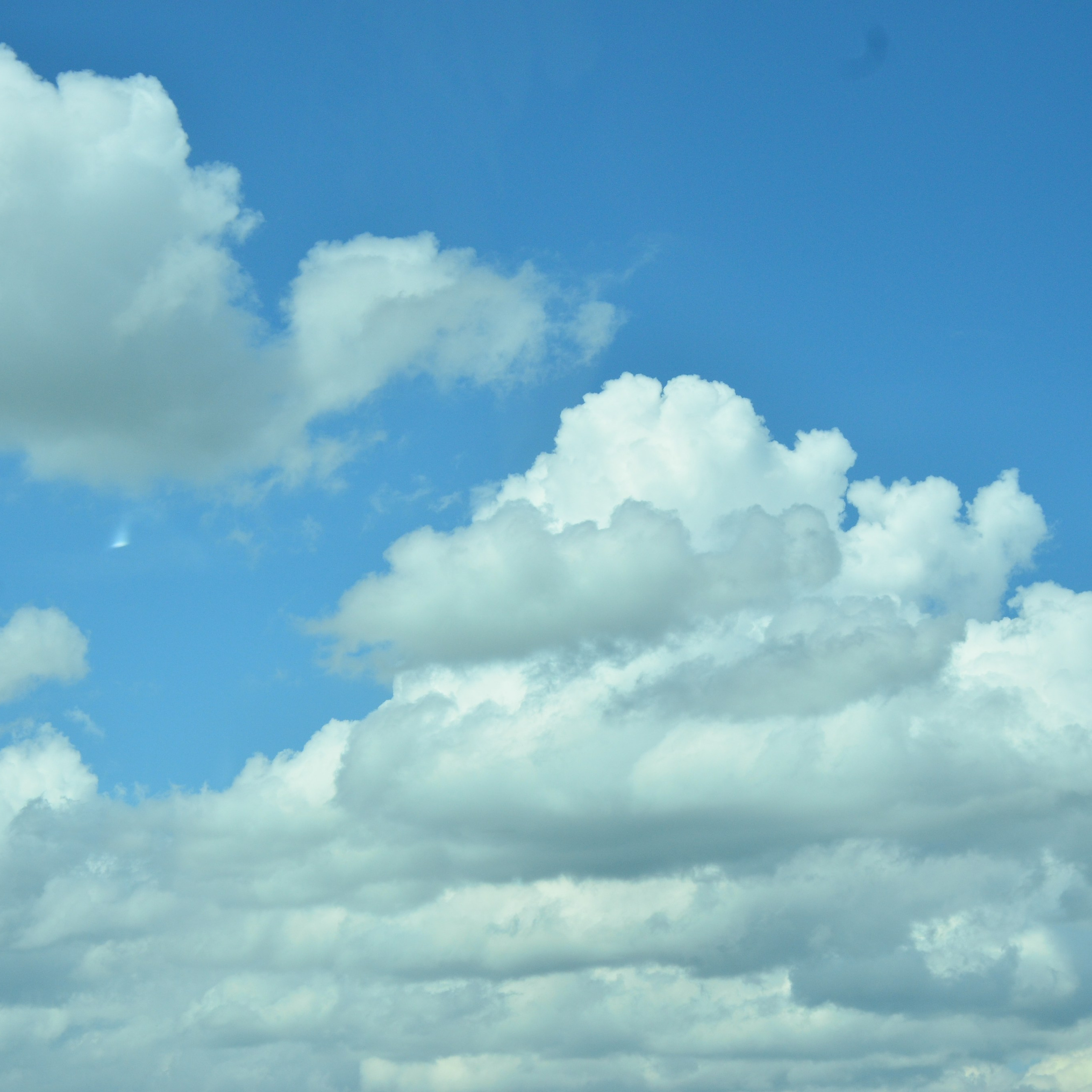 Фотограф viktor viktor