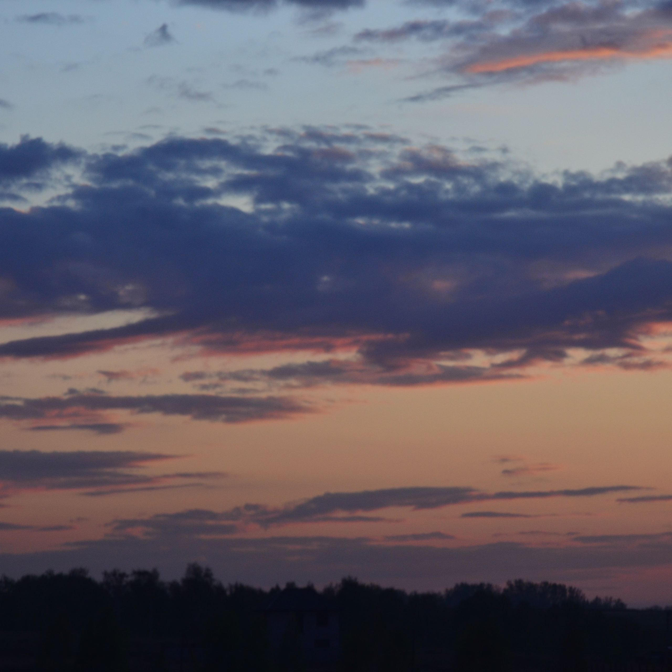 Фотограф viktor viktor