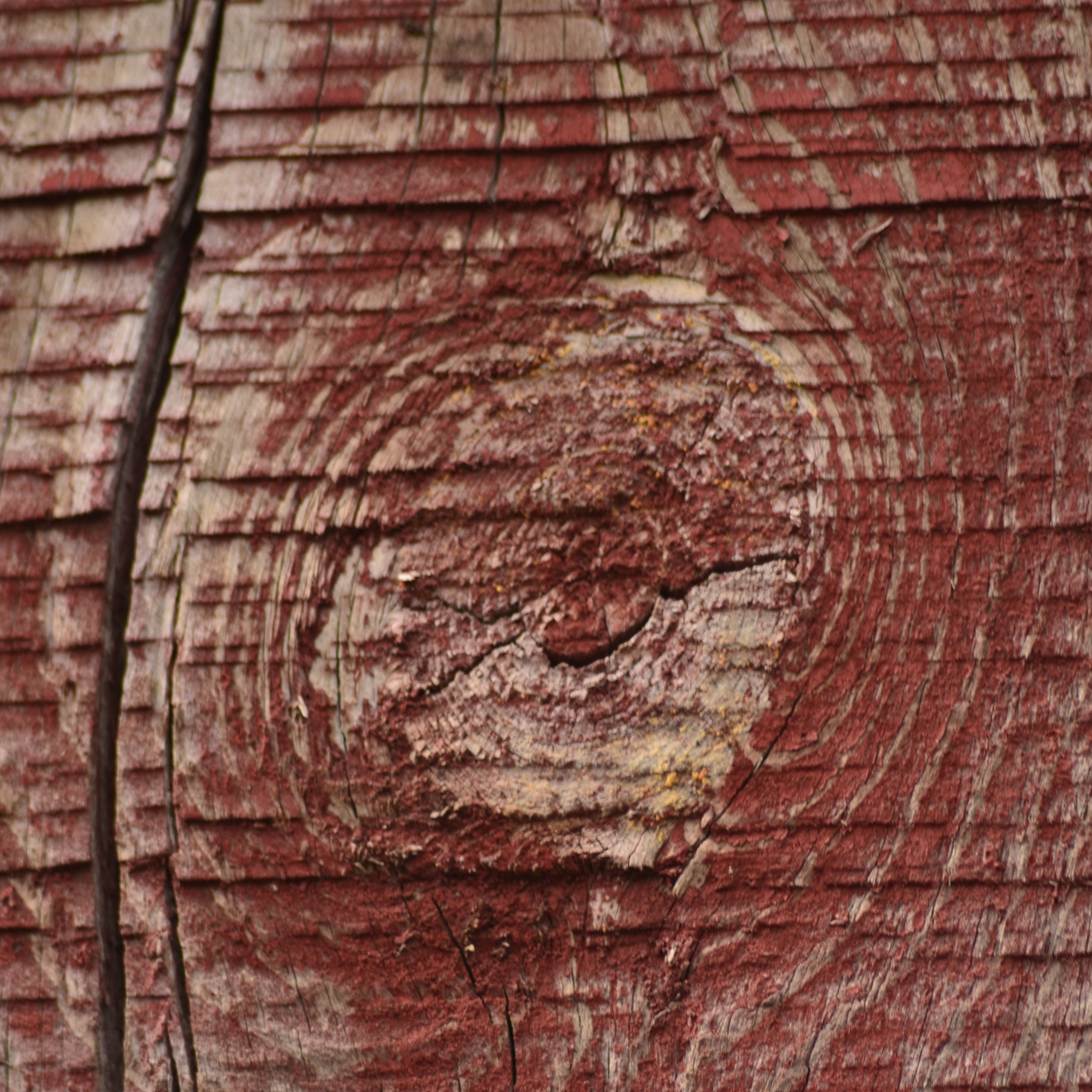 Фотограф viktor viktor