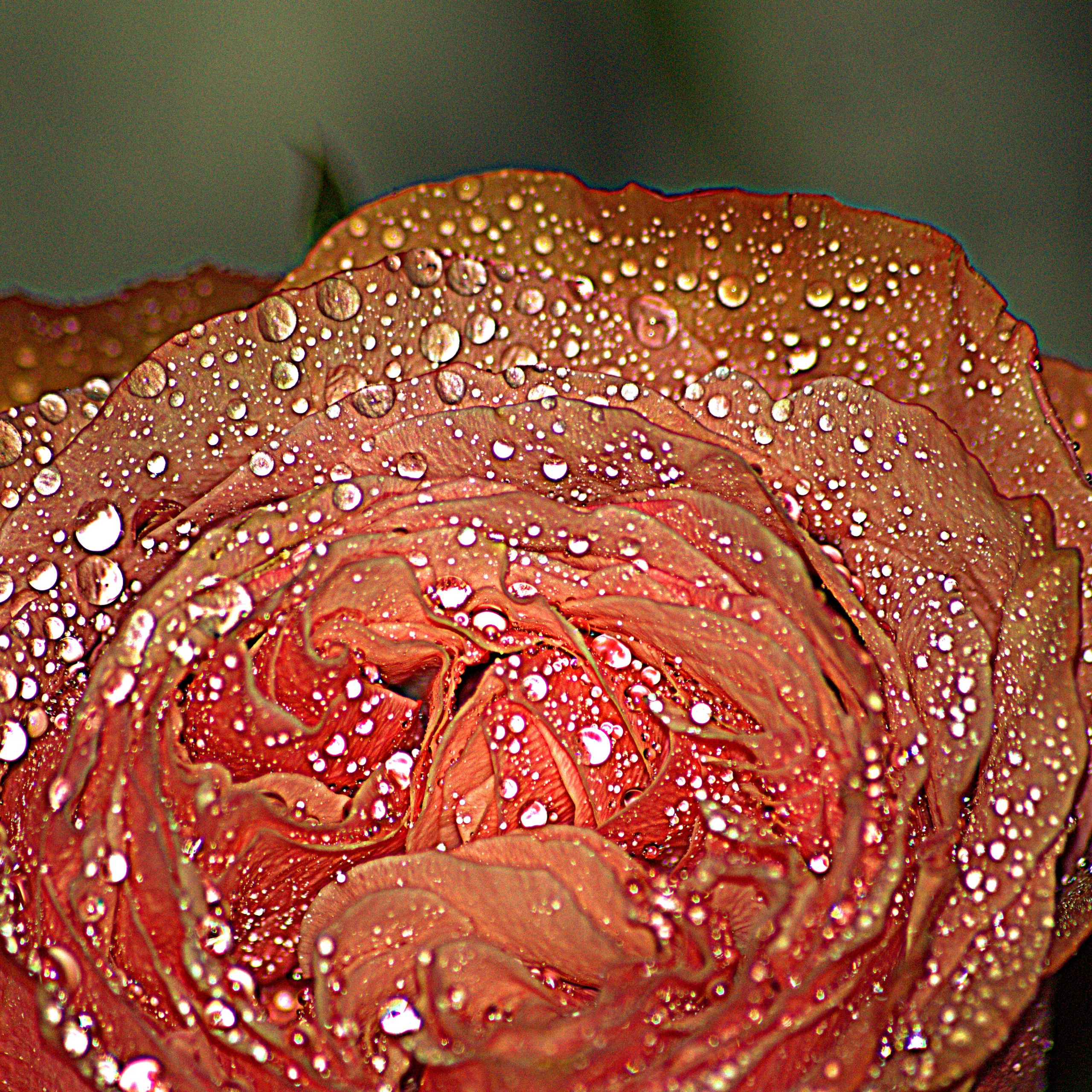 Фотограф viktor viktor