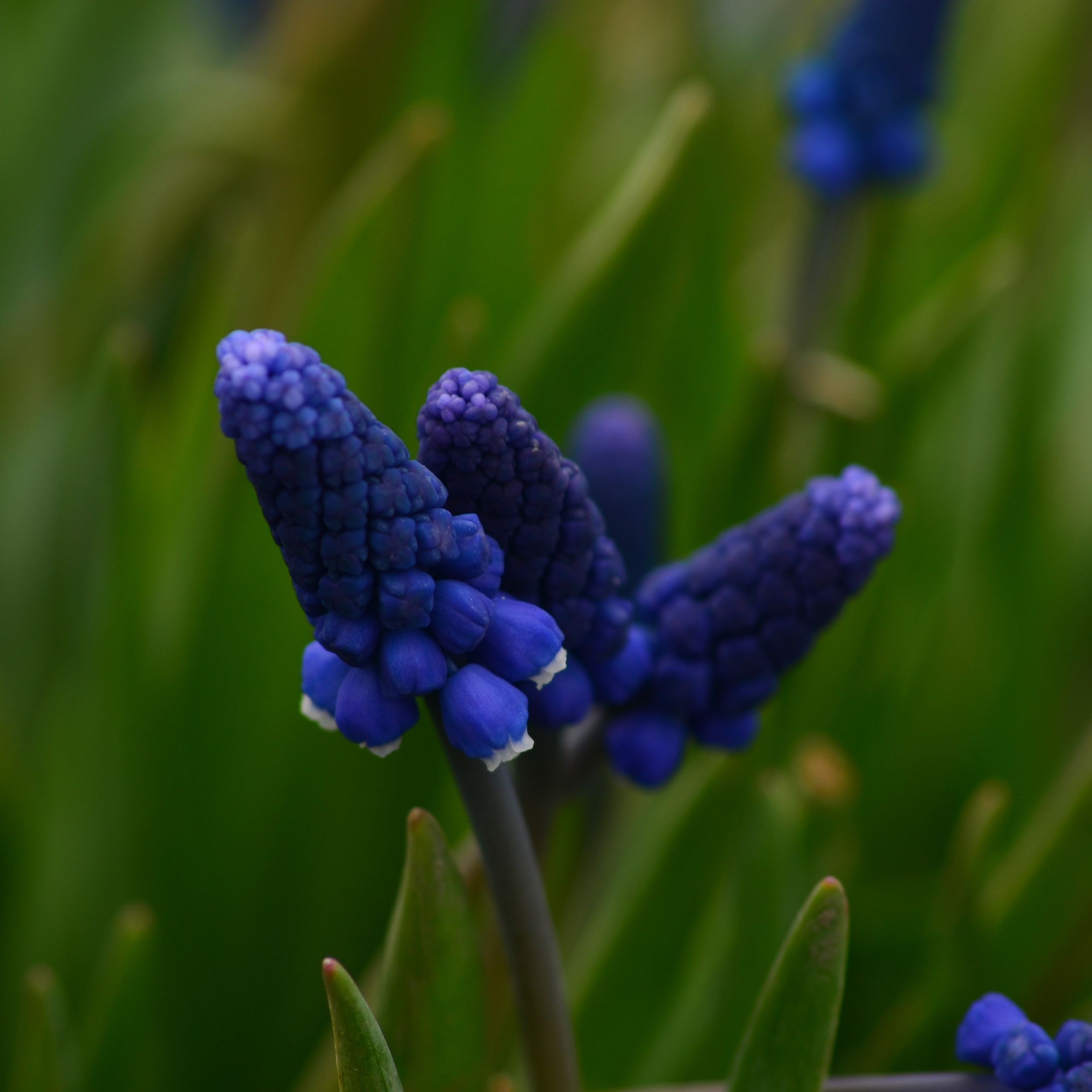 Фотограф viktor viktor