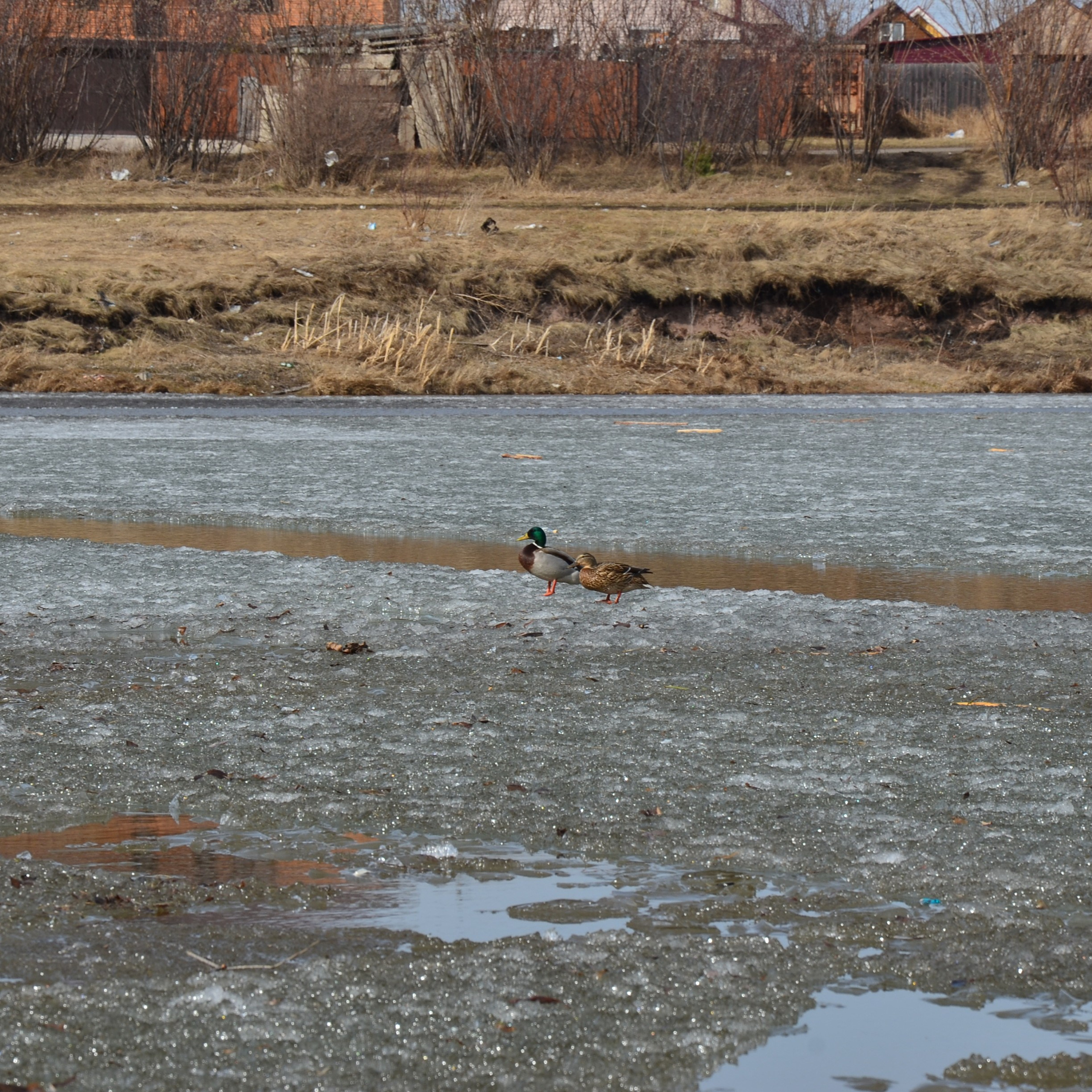 Фотограф viktor viktor