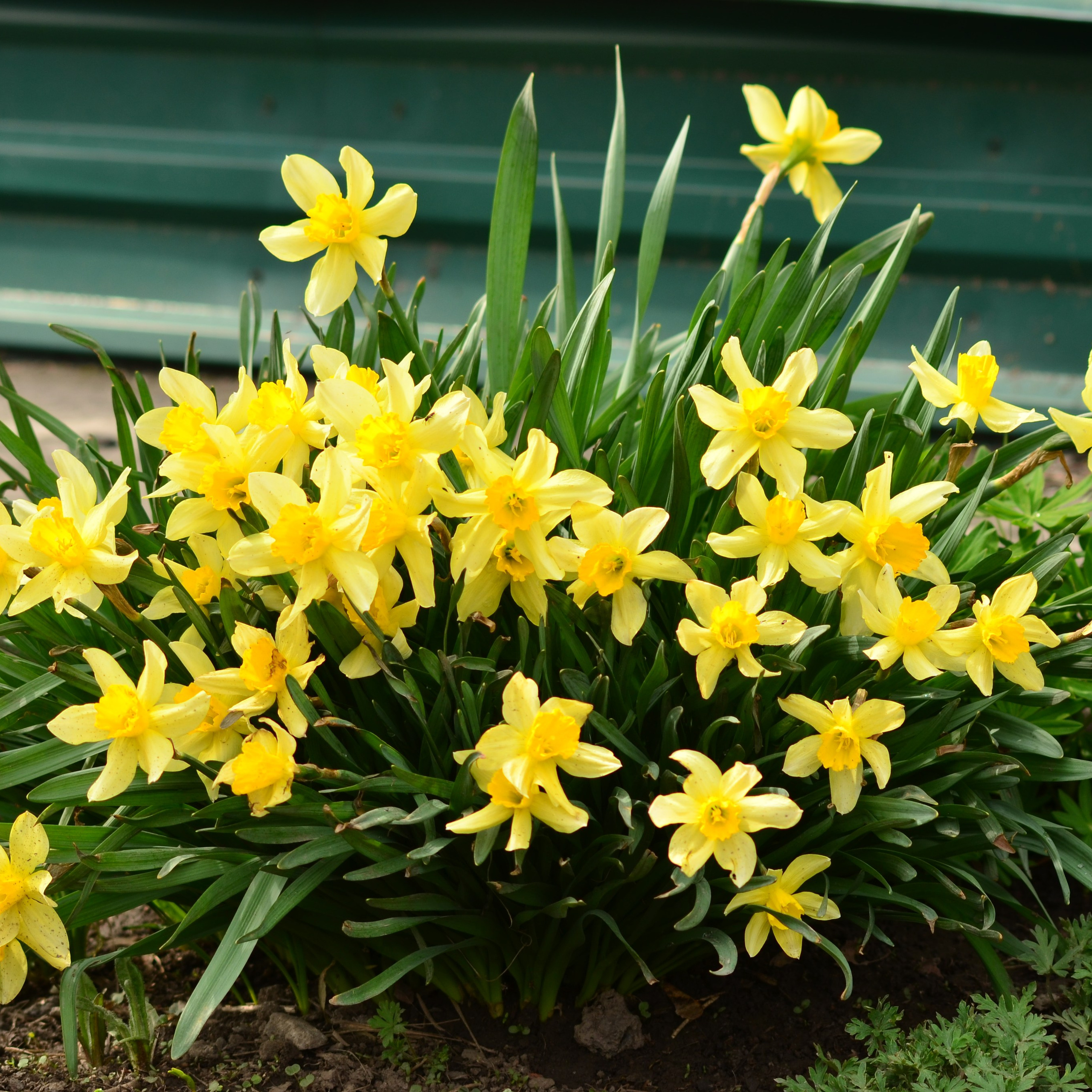 Фотограф viktor viktor