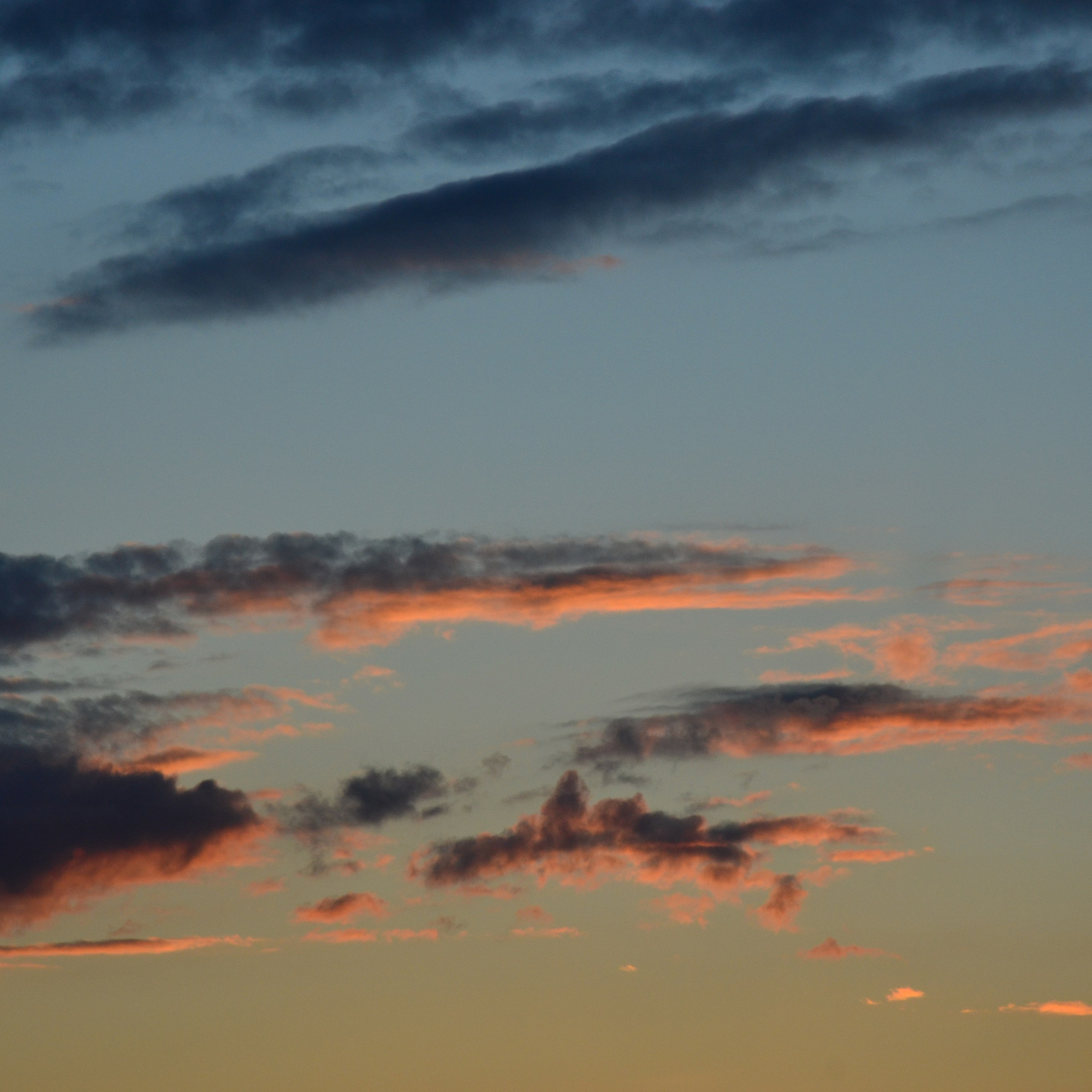 Фотограф viktor viktor