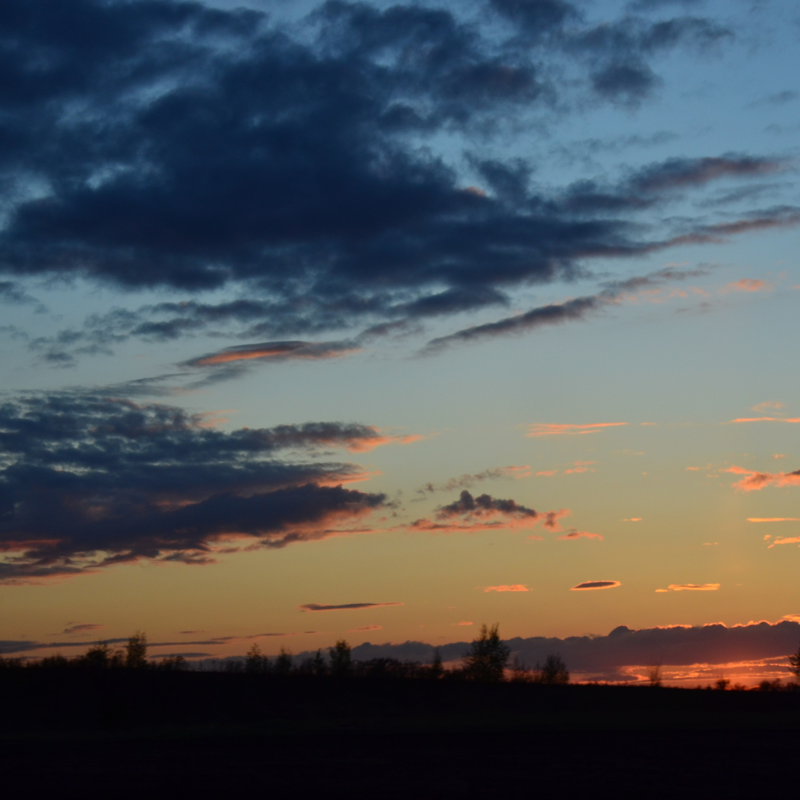 Фотограф viktor viktor