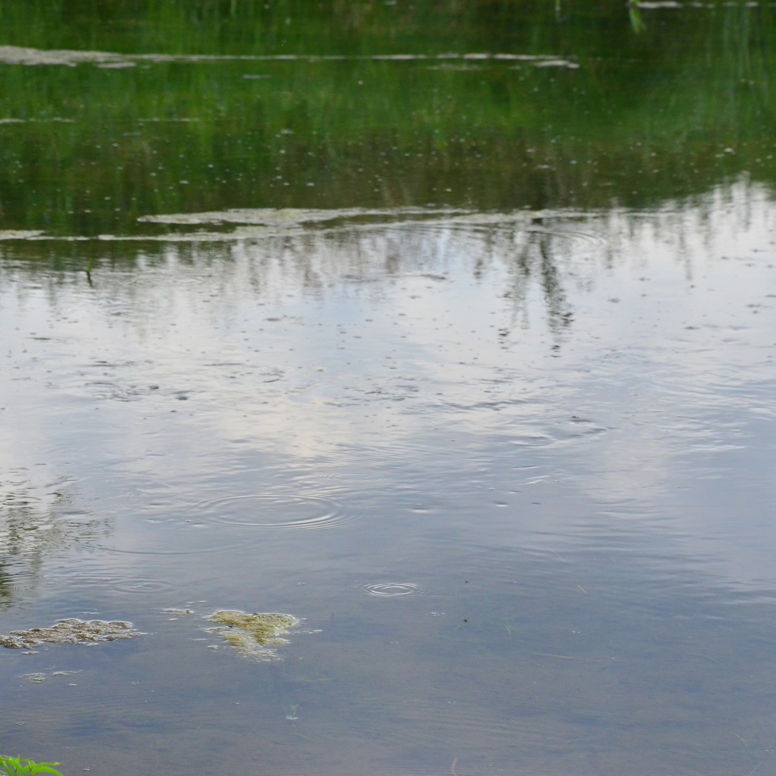 Фотограф viktor viktor