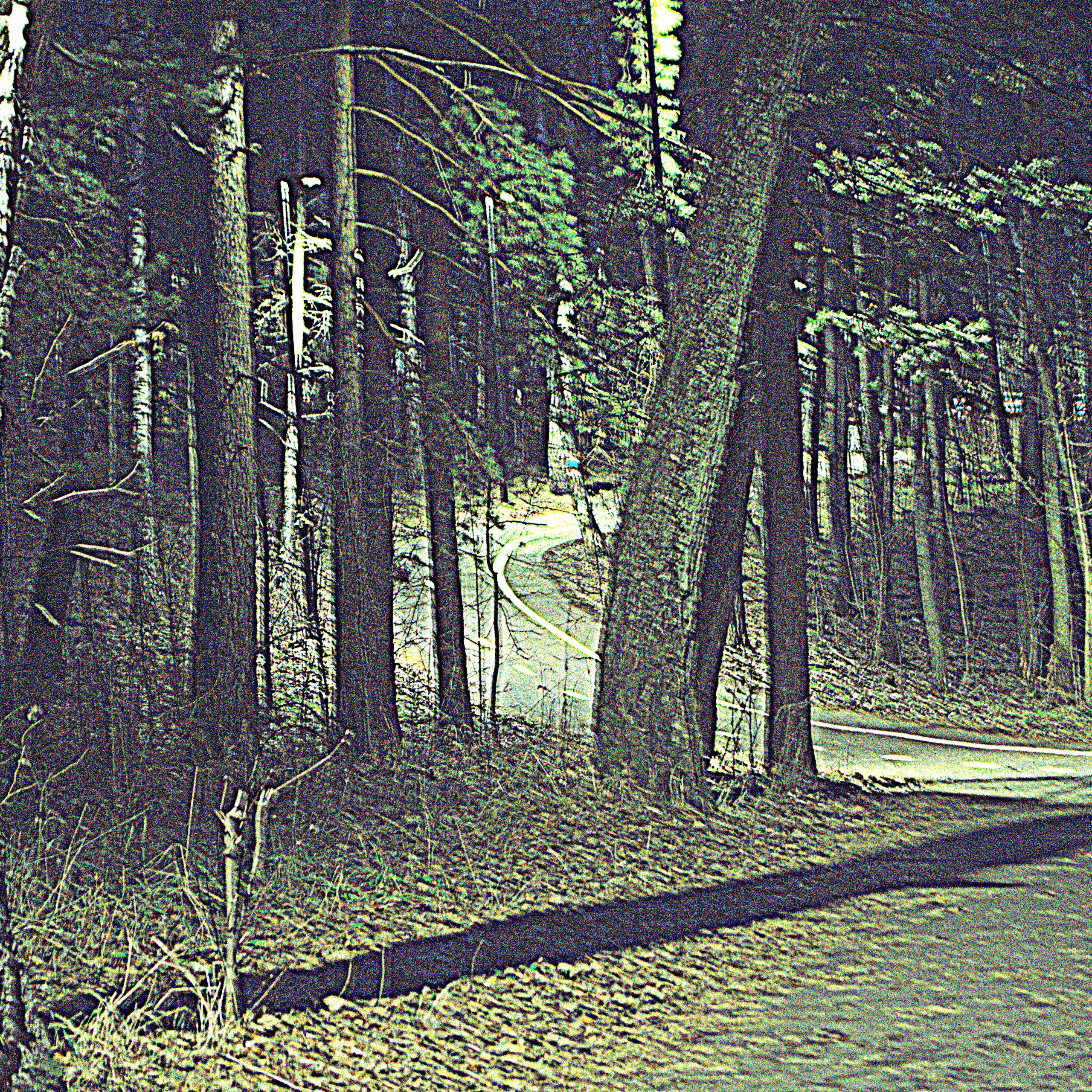 Фотограф viktor viktor