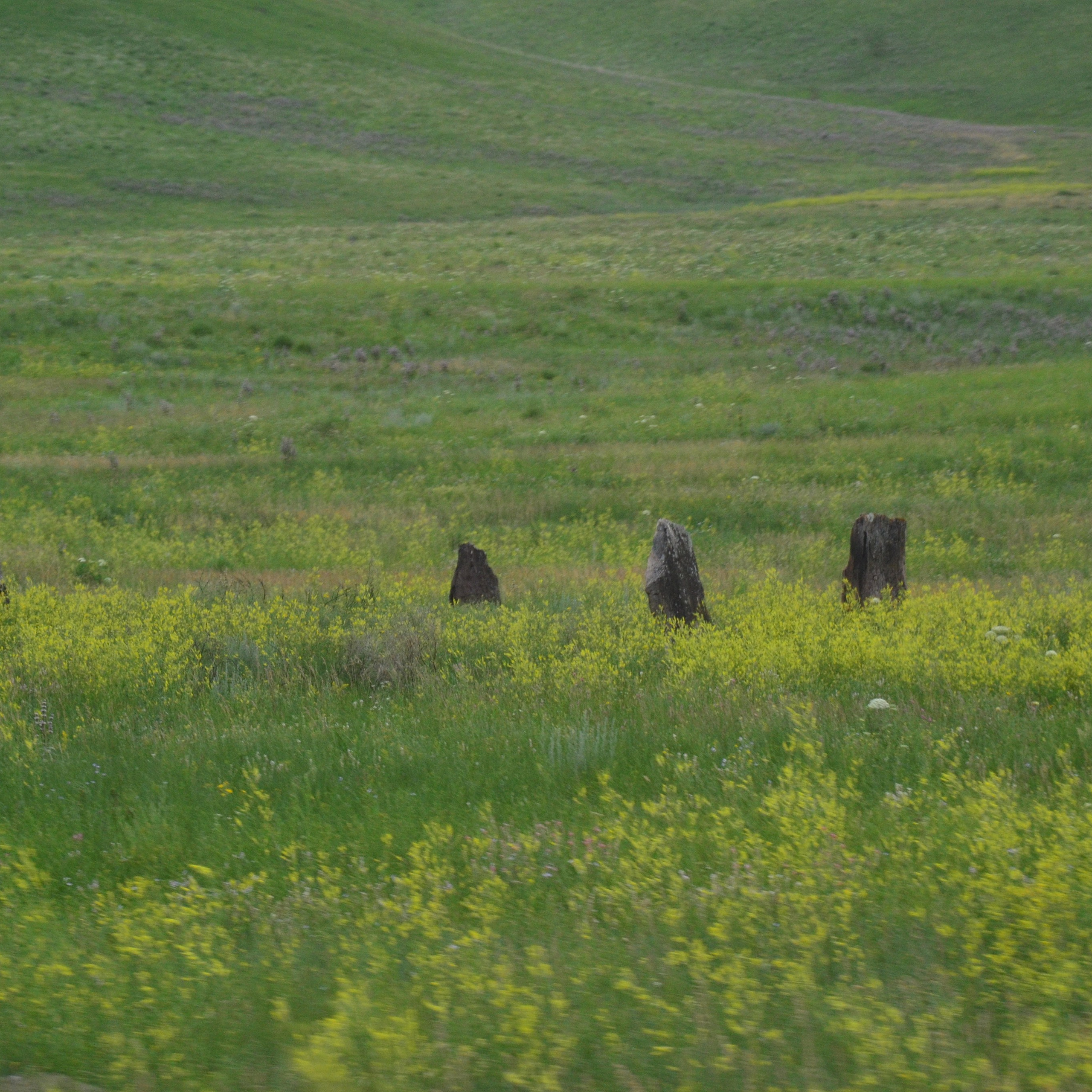 Фотограф viktor viktor