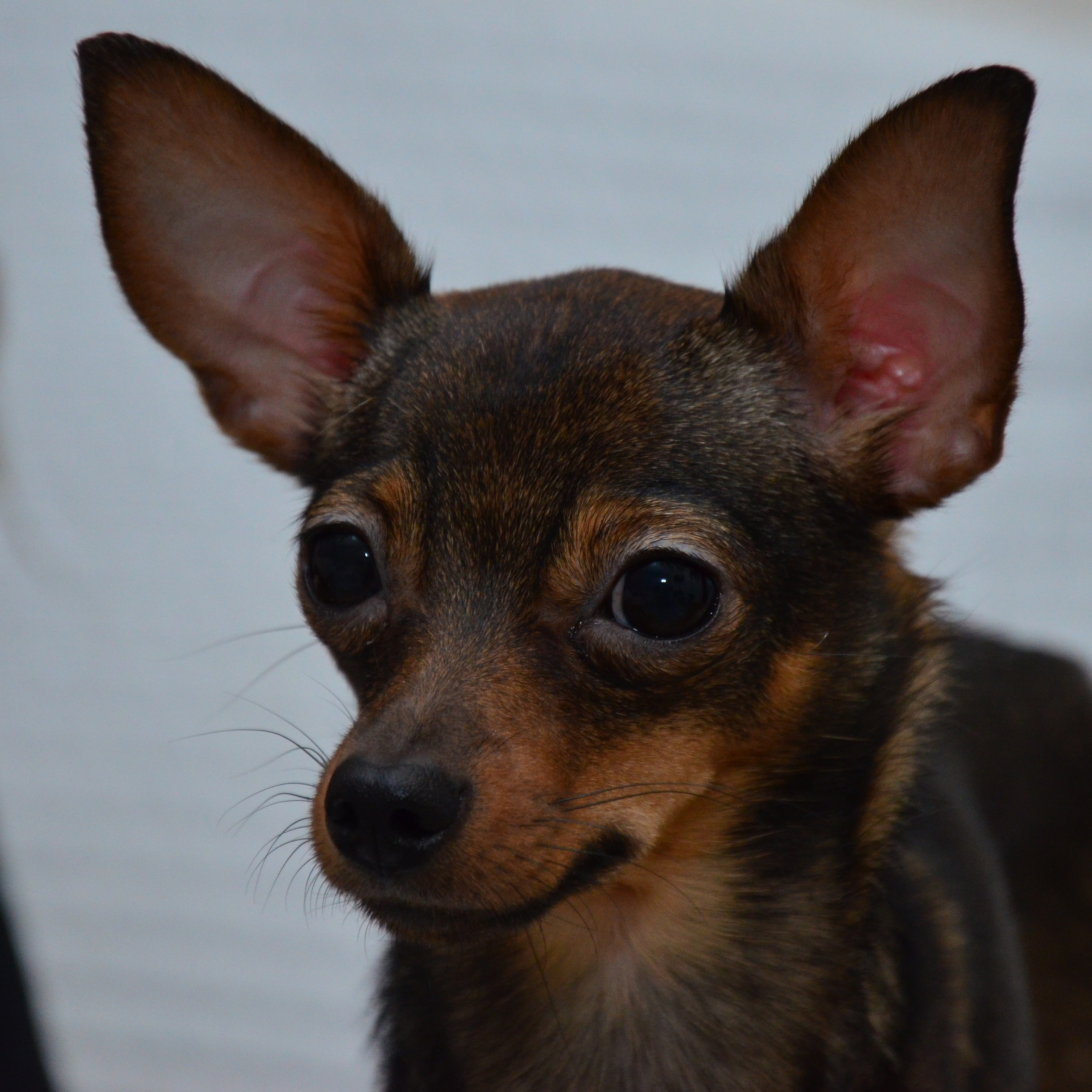 Фотограф viktor viktor