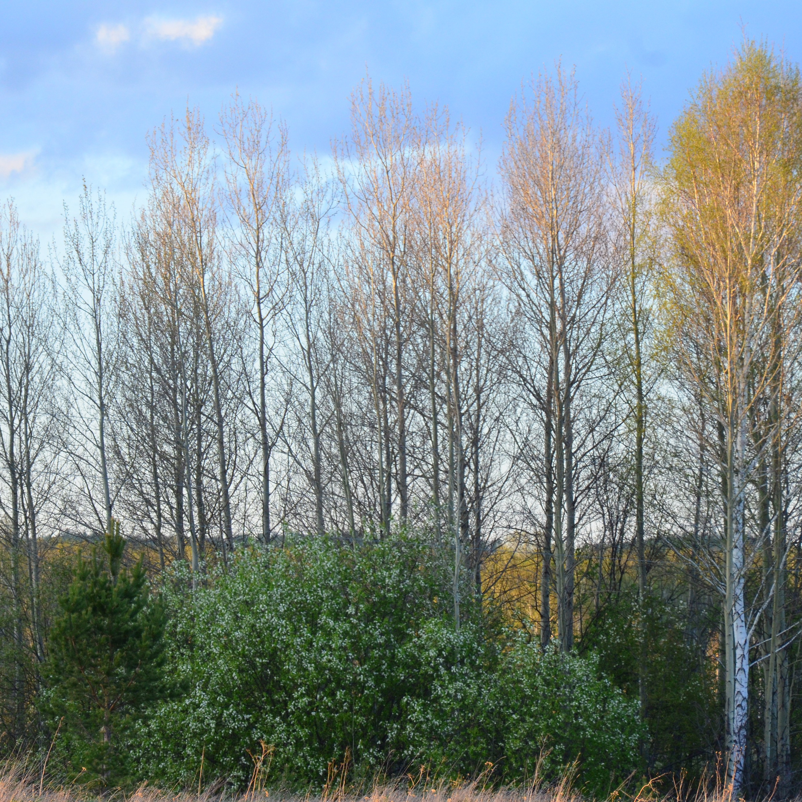 Фотограф viktor viktor