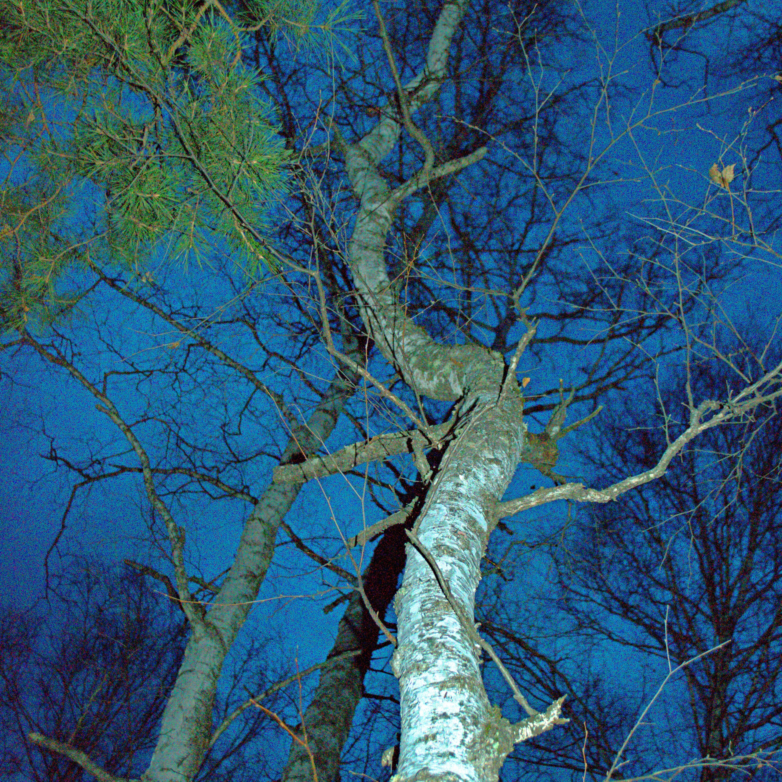 Фотограф viktor viktor