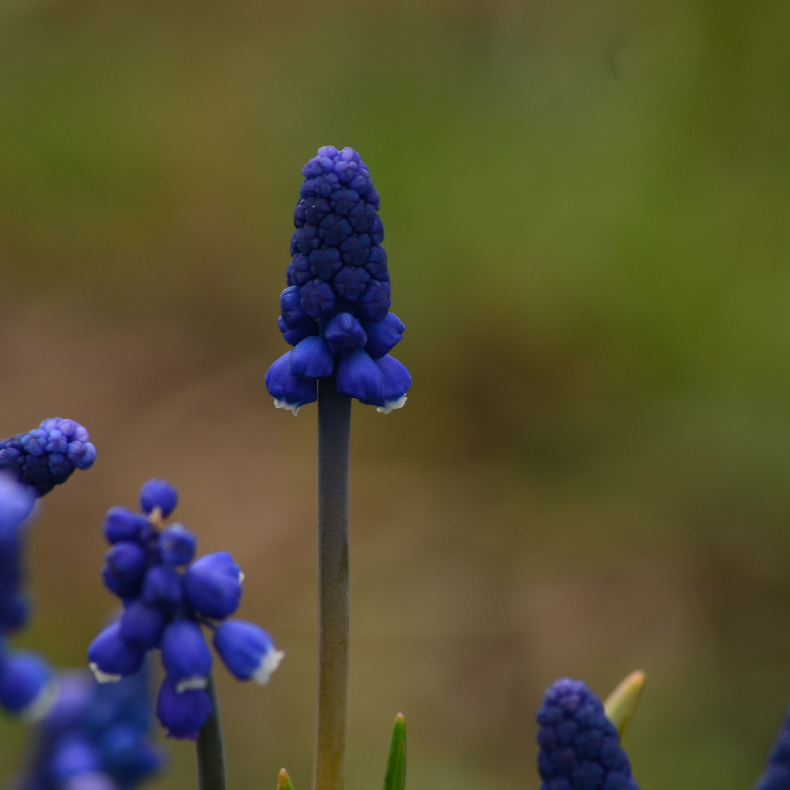 Фотограф viktor viktor