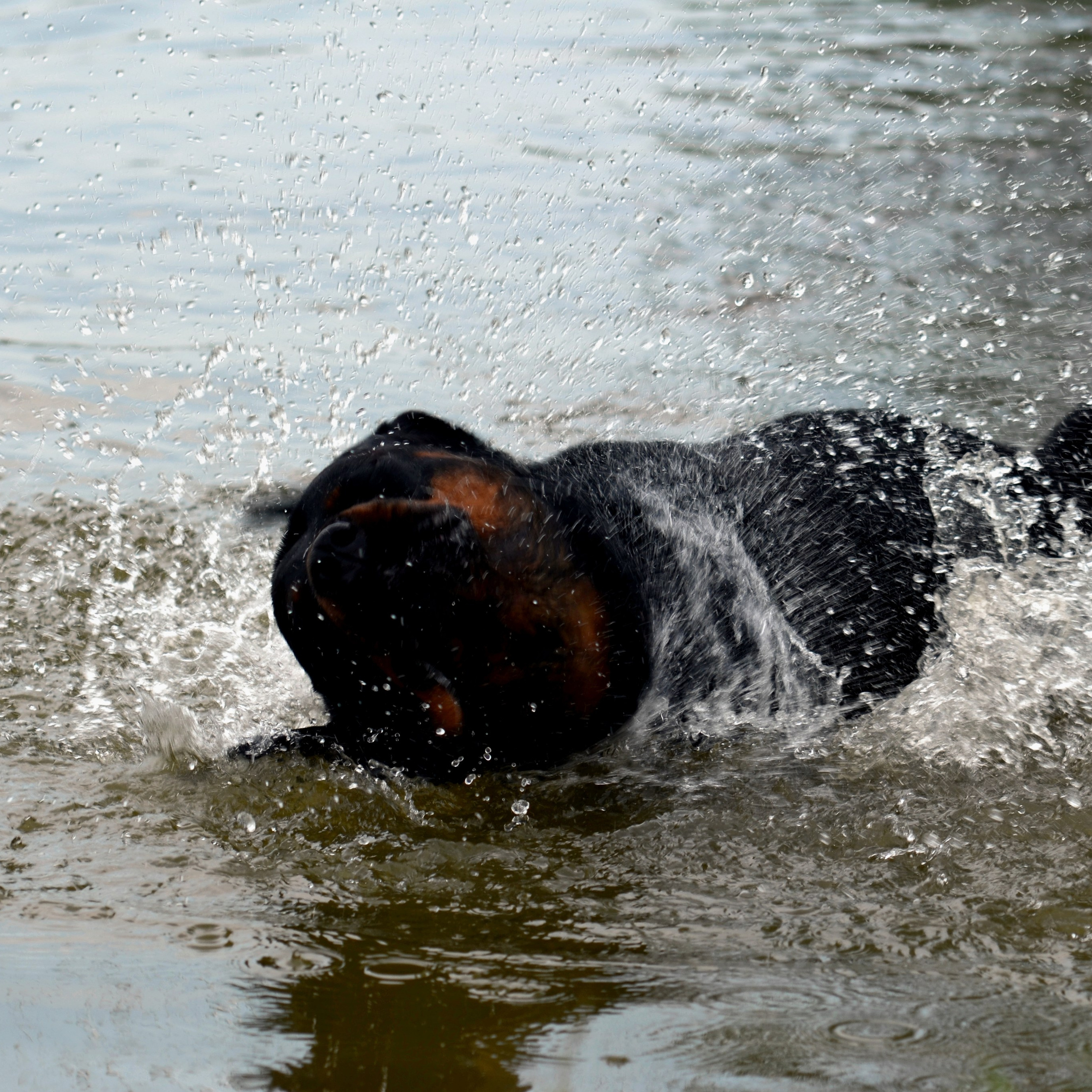 Фотограф viktor viktor