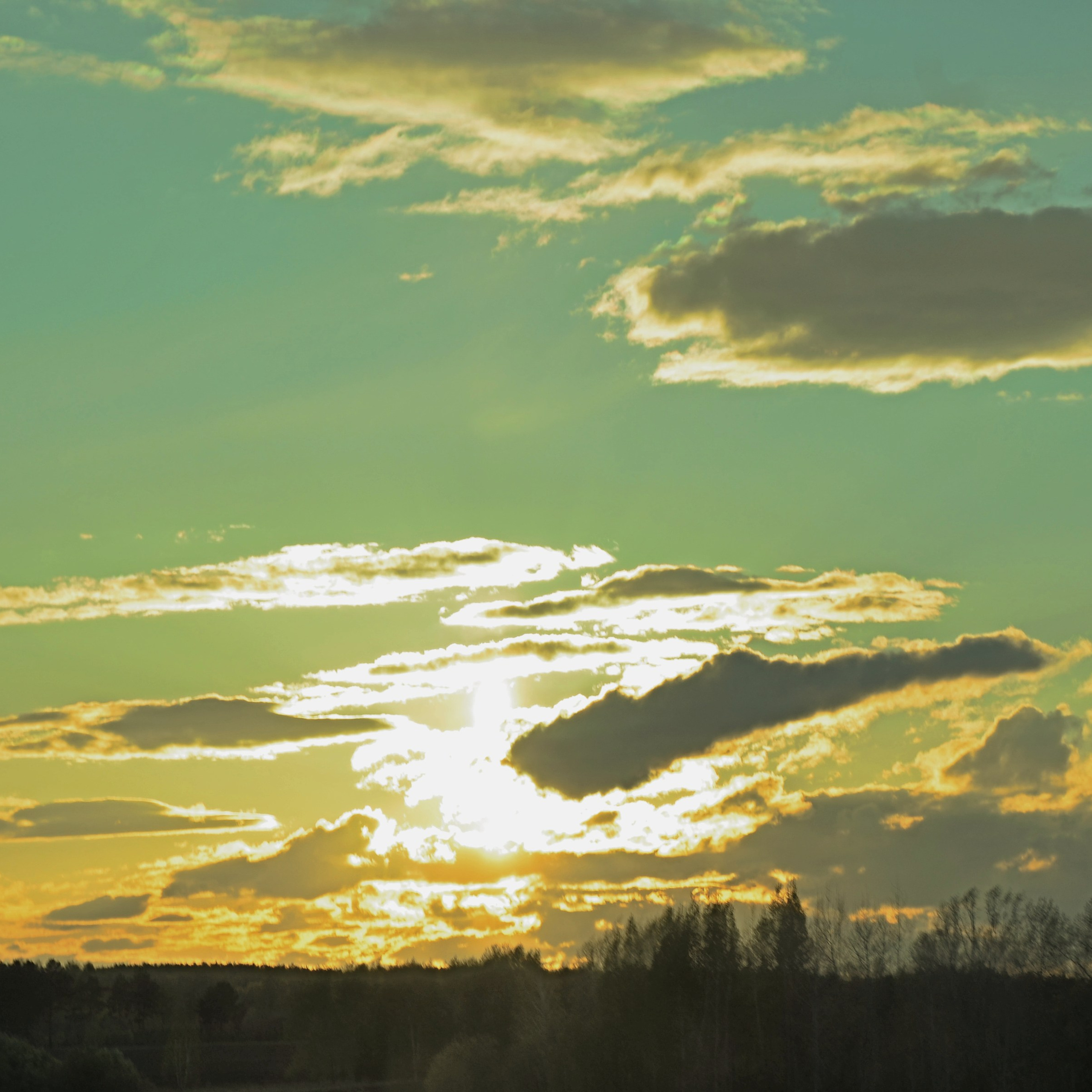 Фотограф viktor viktor