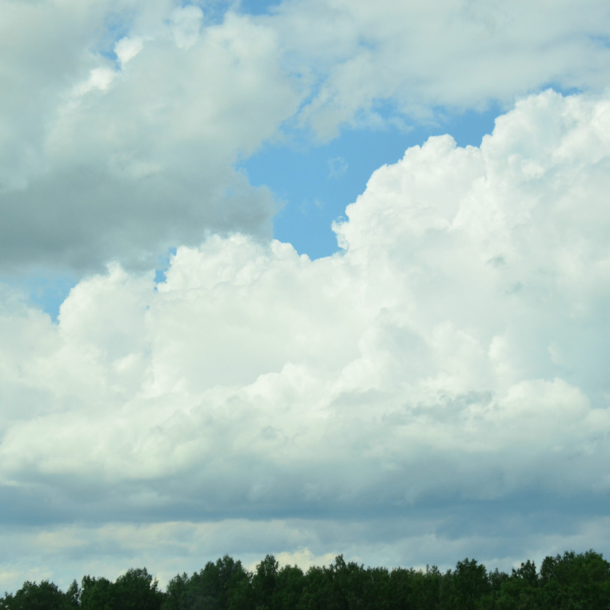 Фотограф viktor viktor