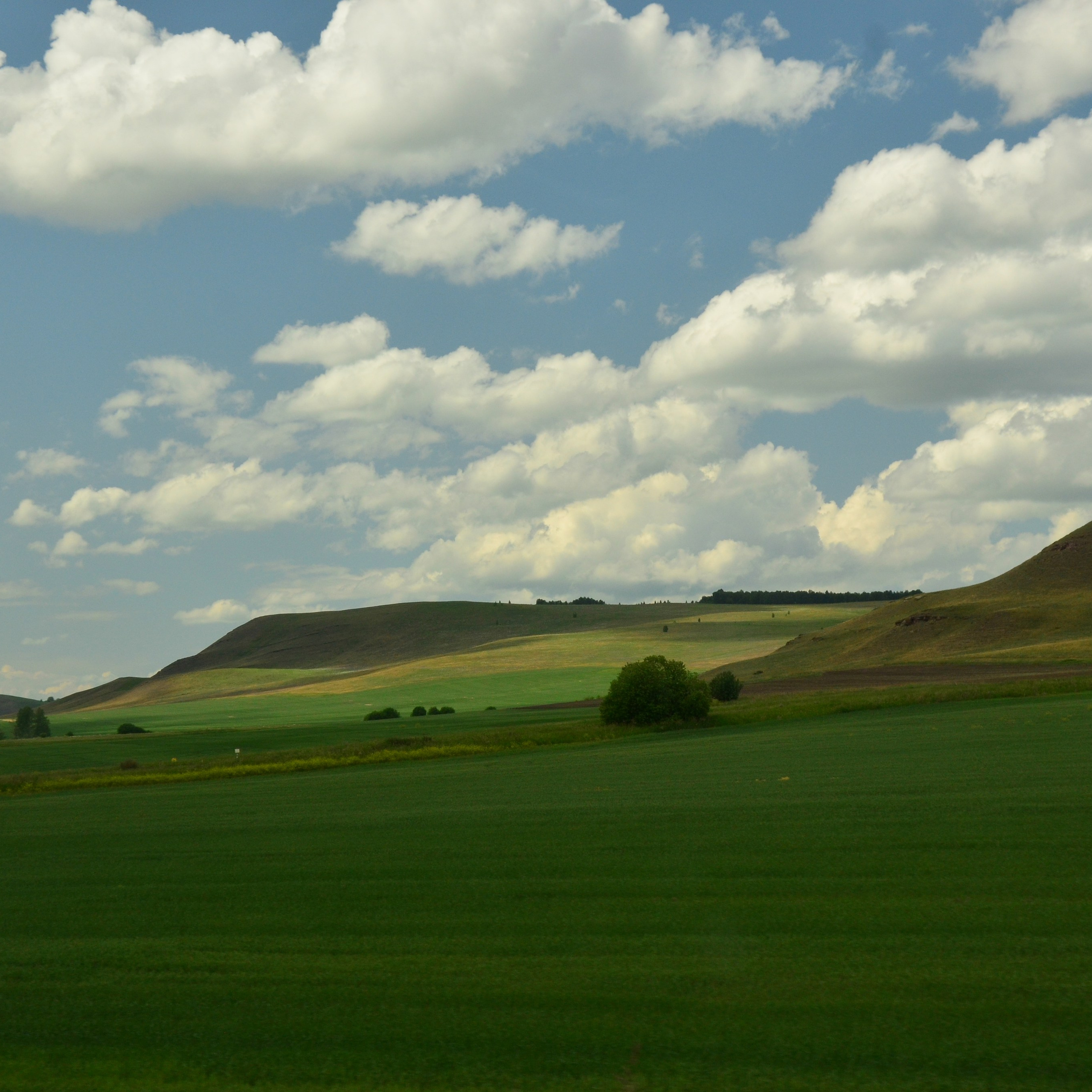 Фотограф viktor viktor