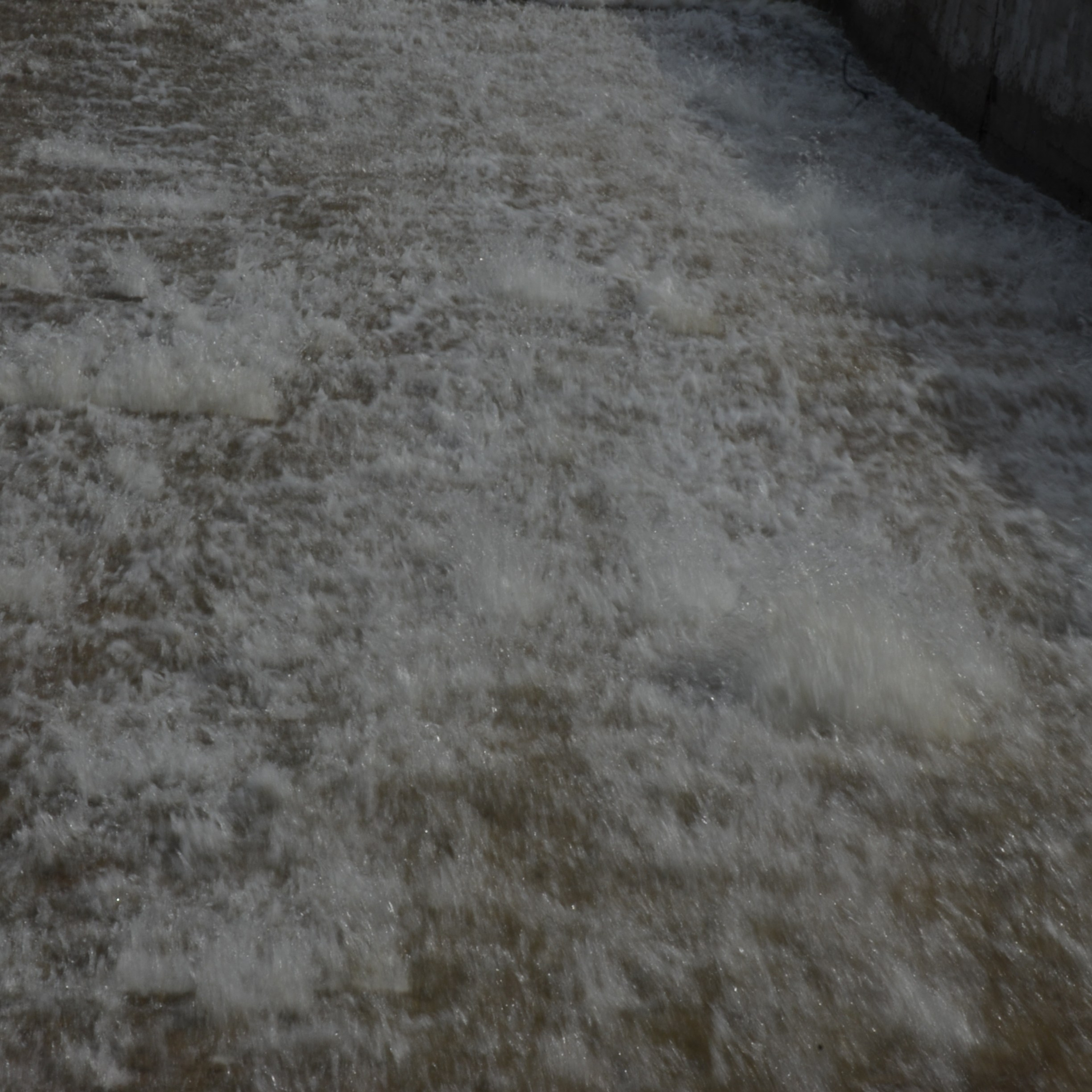 Фотограф viktor viktor