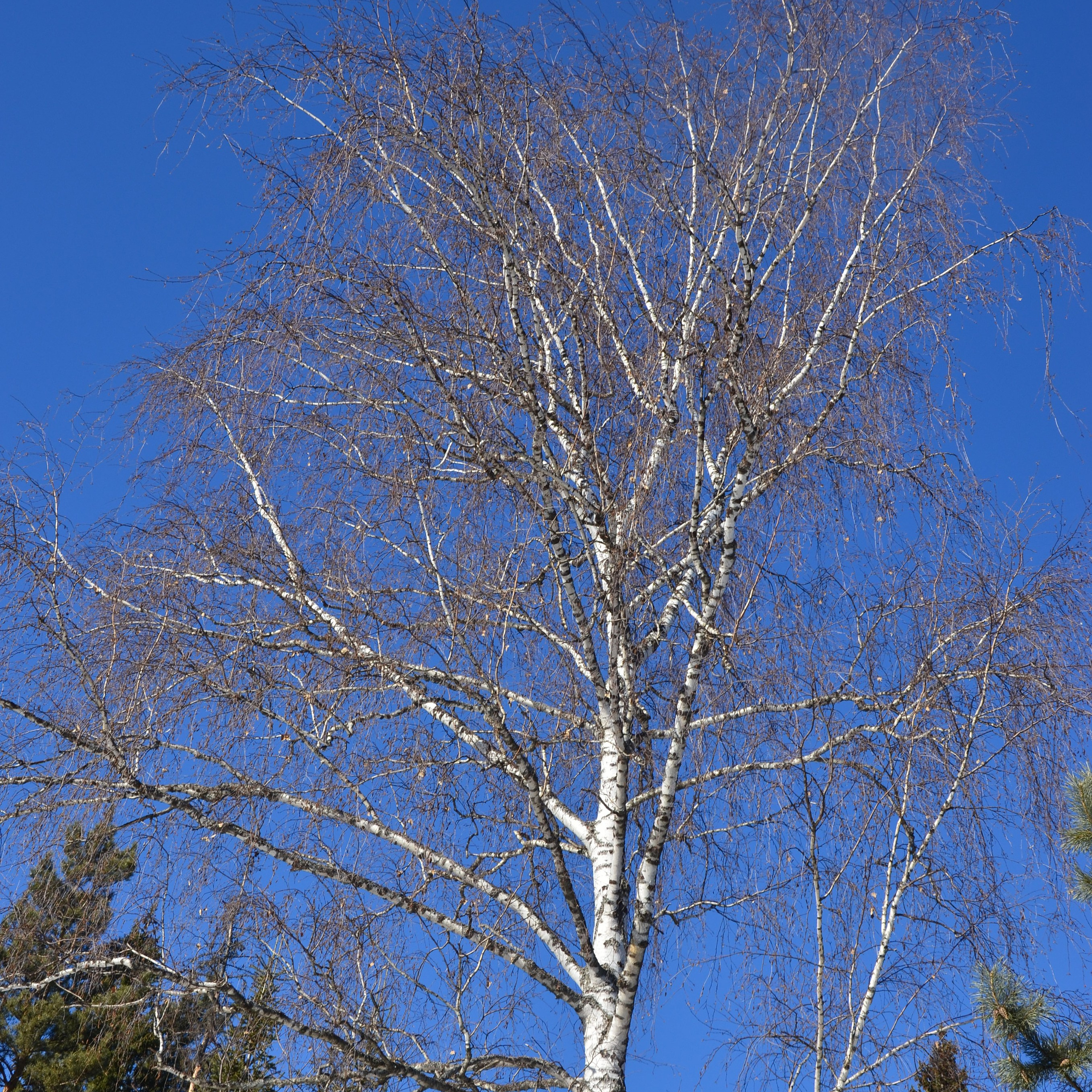 Фотограф viktor viktor