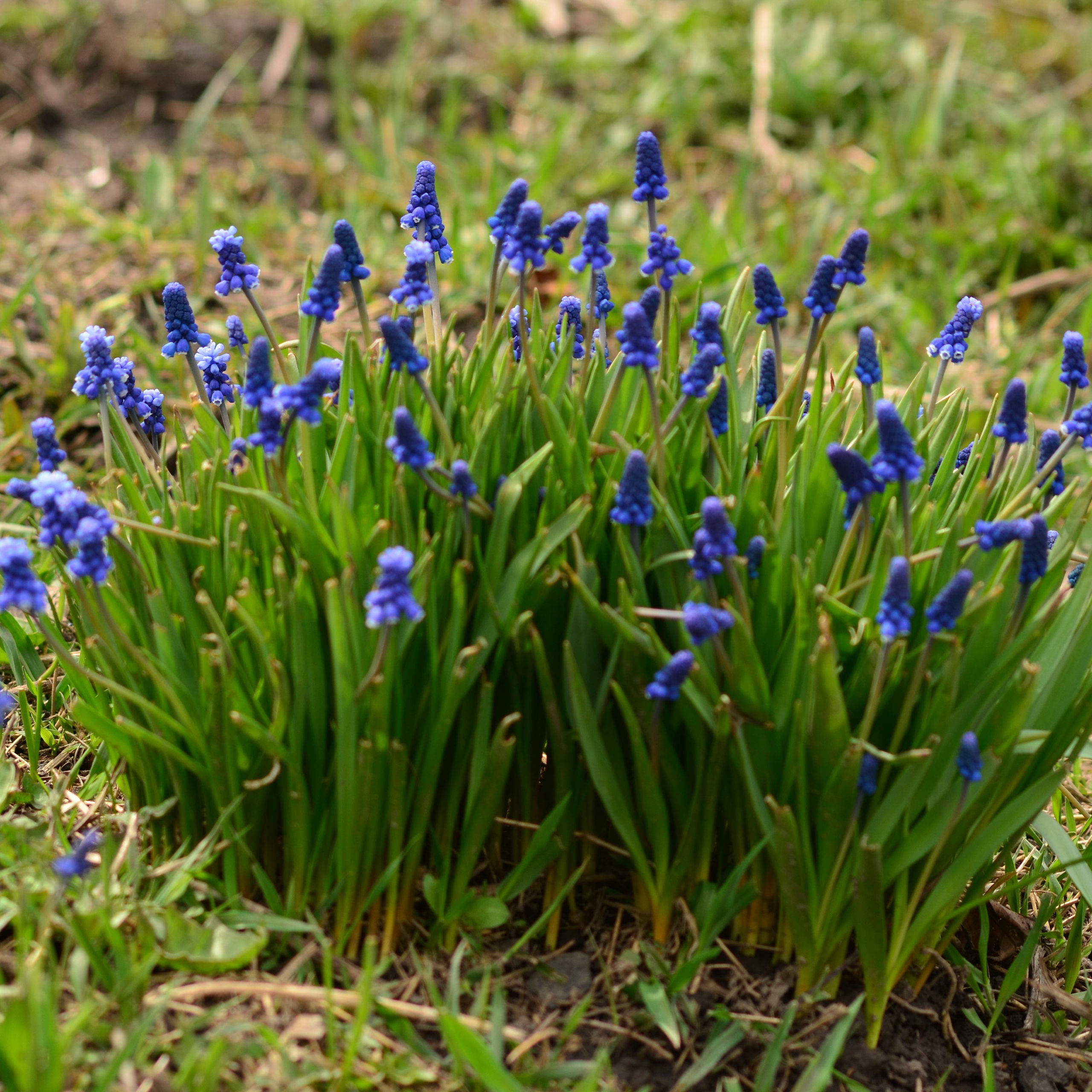 Фотограф viktor viktor