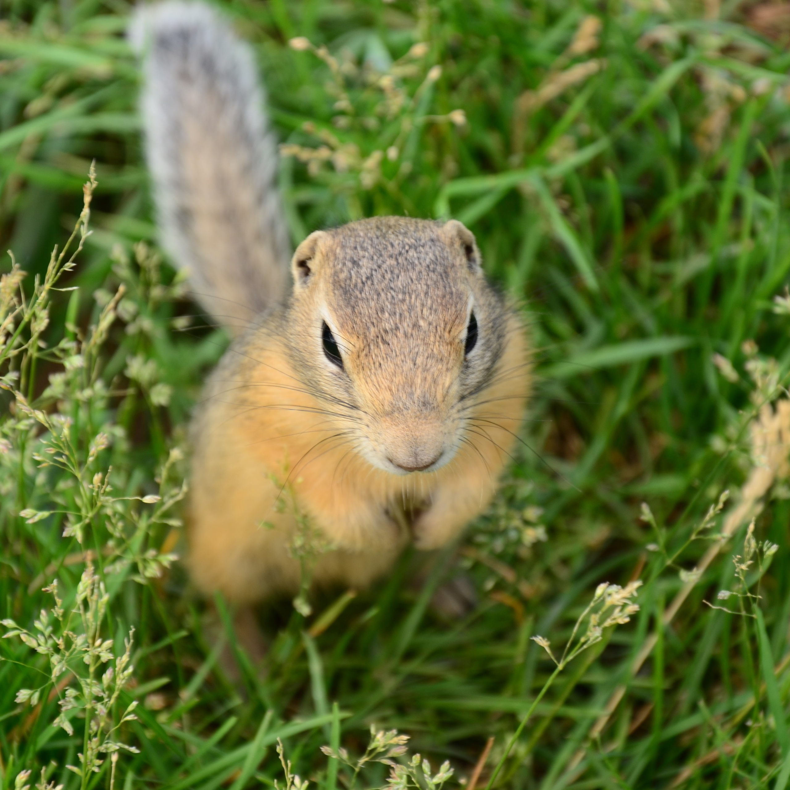 Фотограф viktor viktor