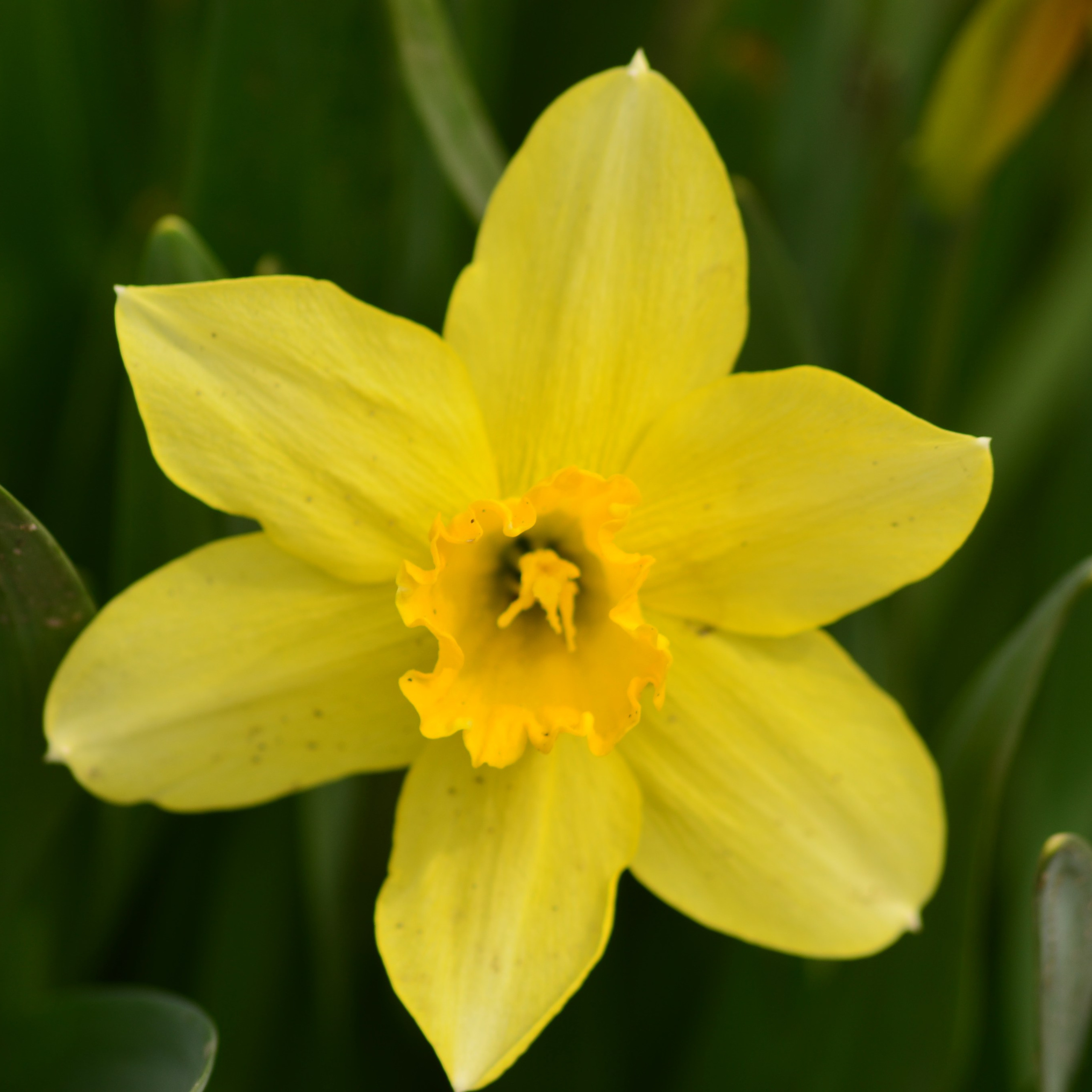 Фотограф viktor viktor