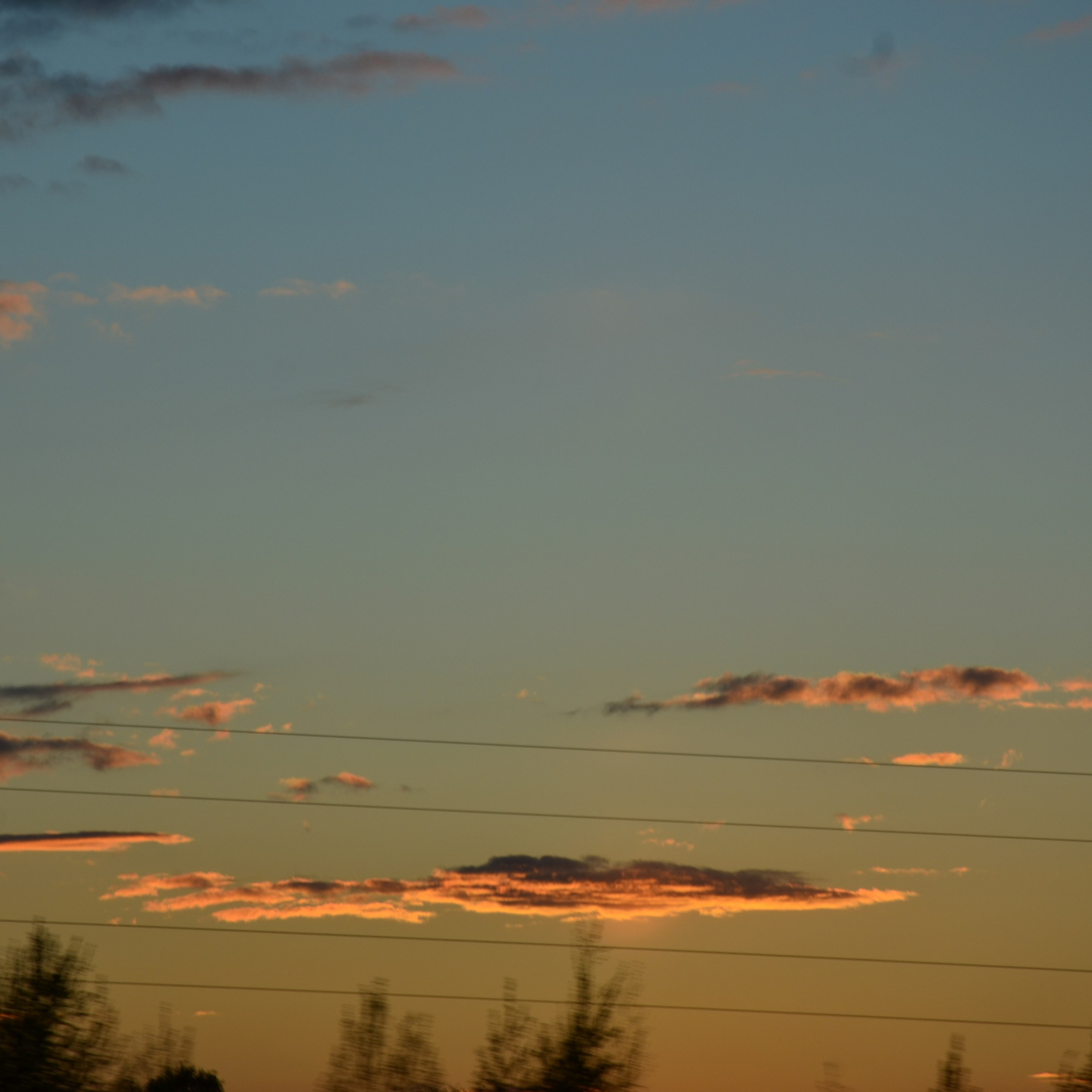 Фотограф viktor viktor