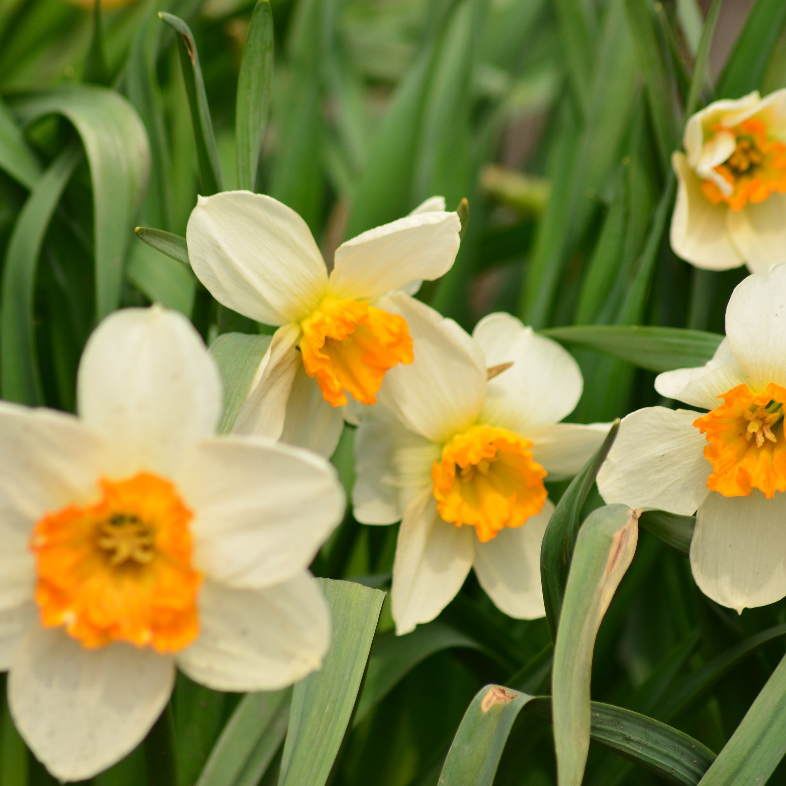 Фотограф viktor viktor