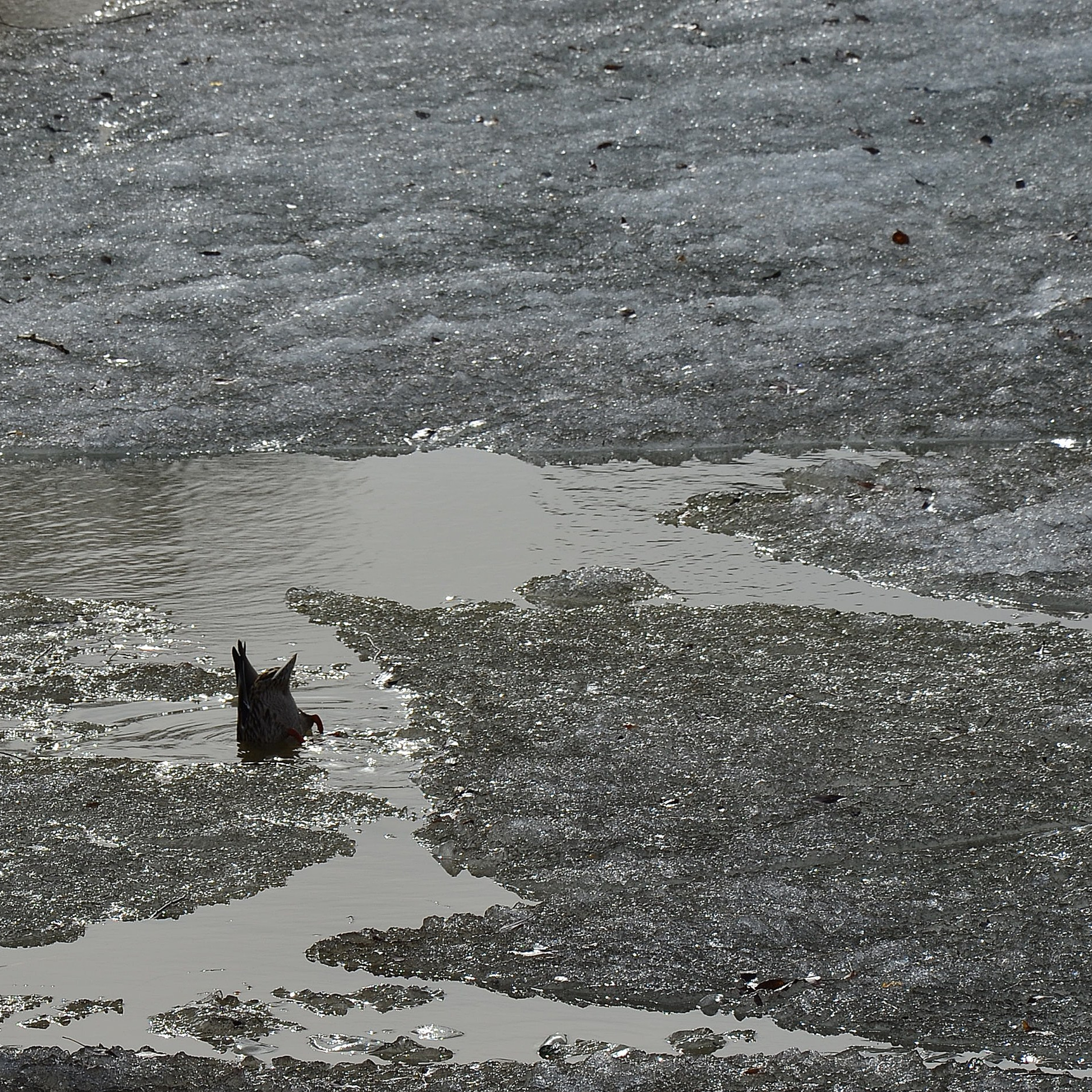 Фотограф viktor viktor