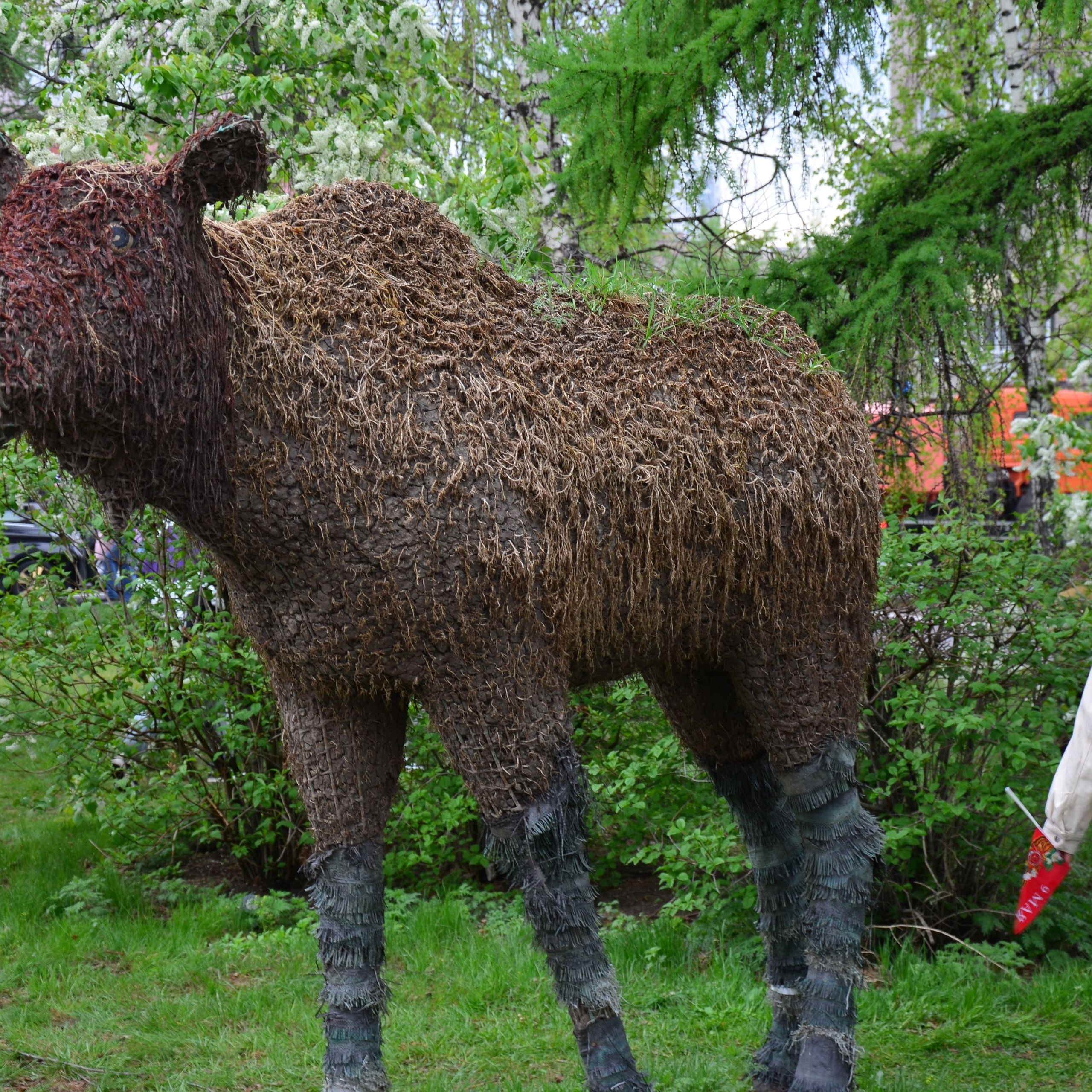 Фотограф viktor viktor