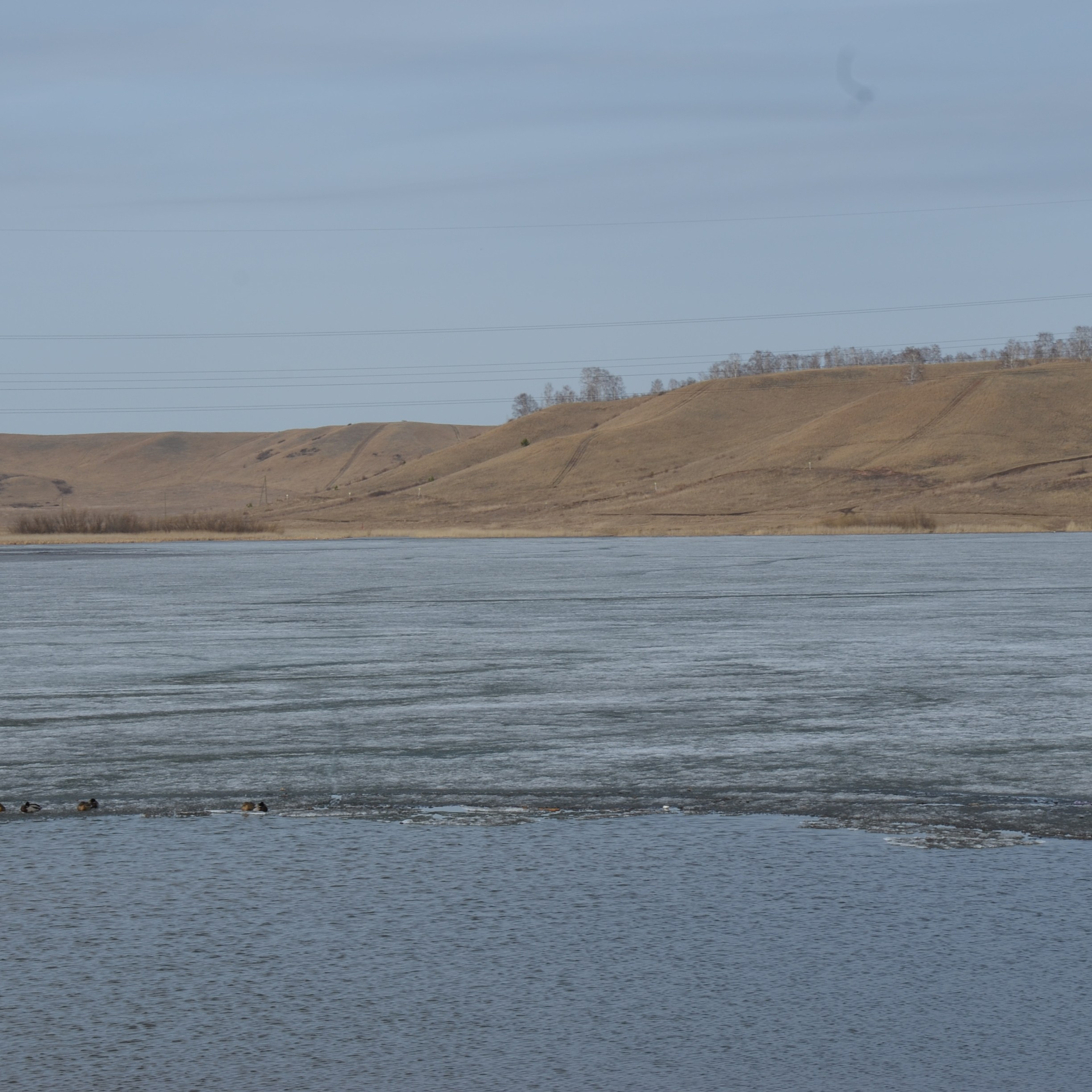 Фотограф viktor viktor